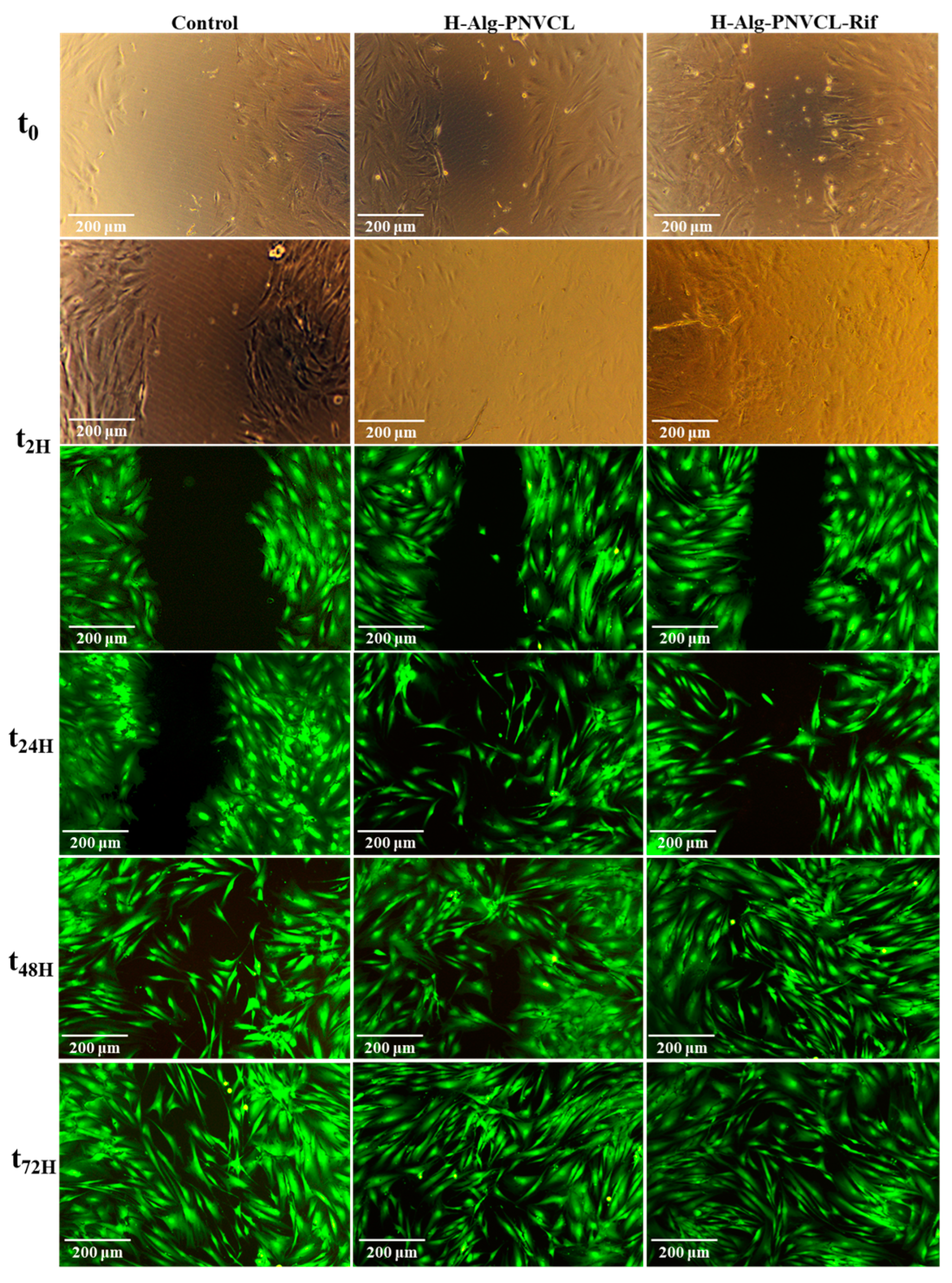 Pharmaceuticals 17 00943 g009