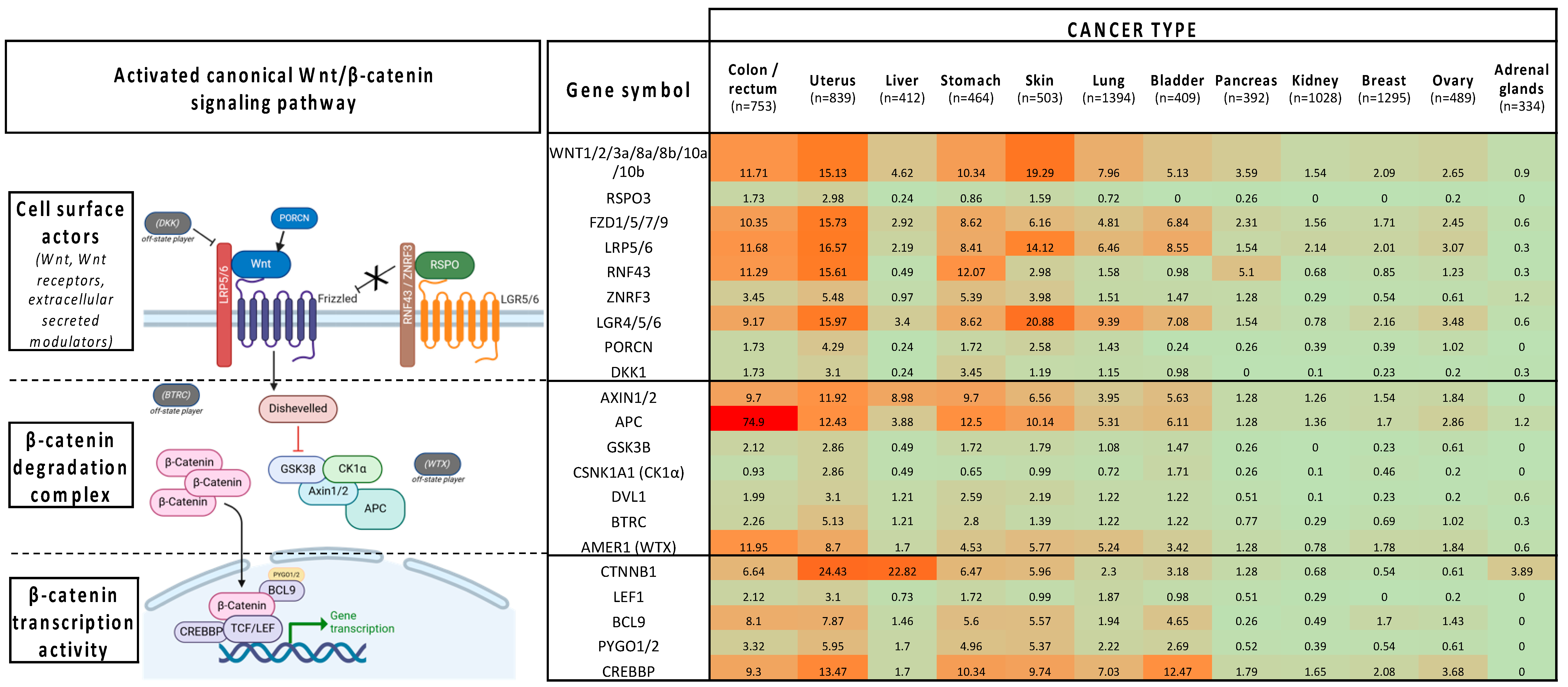 Pharmaceuticals 17 00949 g001 Pharmaceuticals 17 00949 g001
