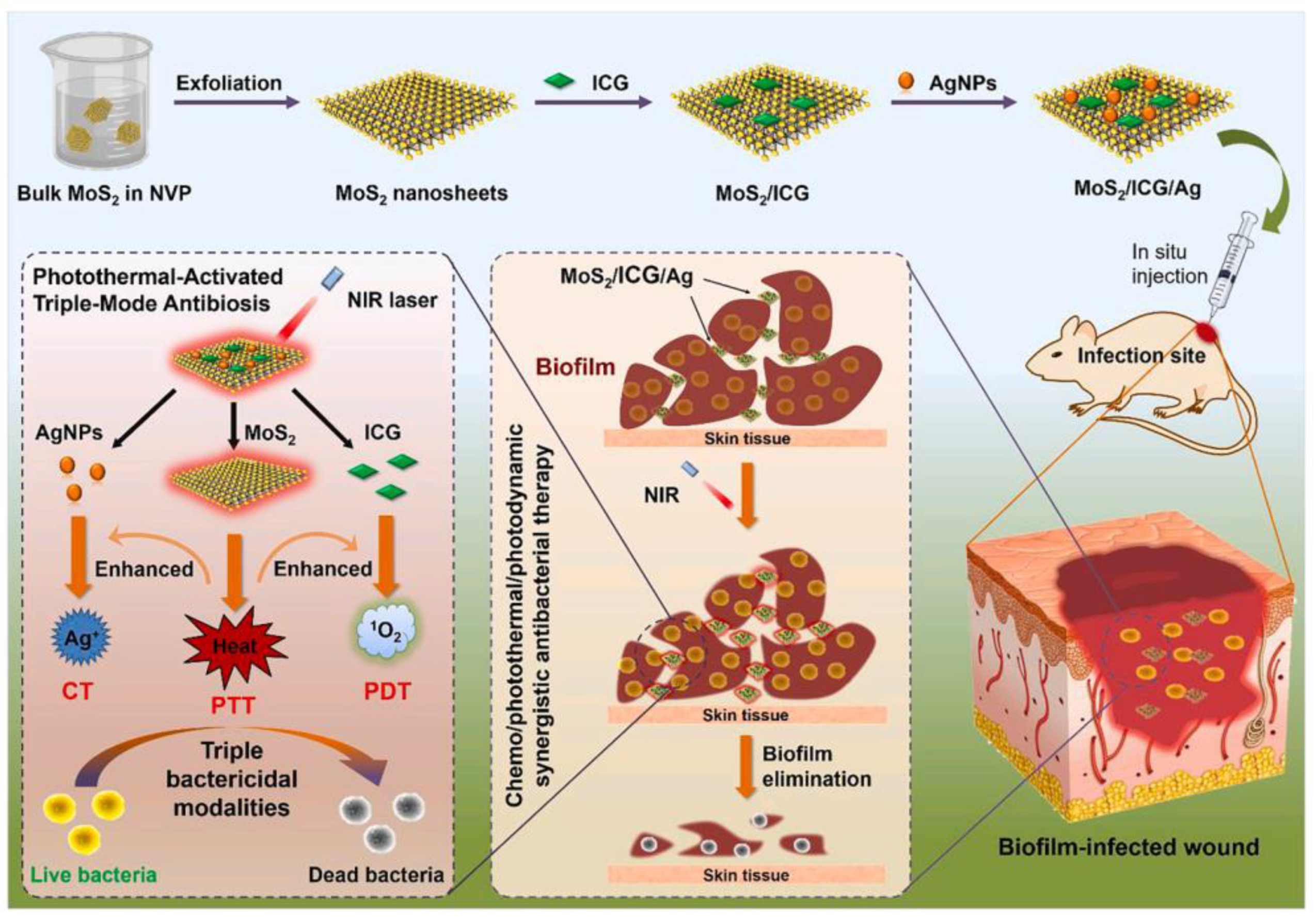 Pharmaceuticals 17 00950 g001