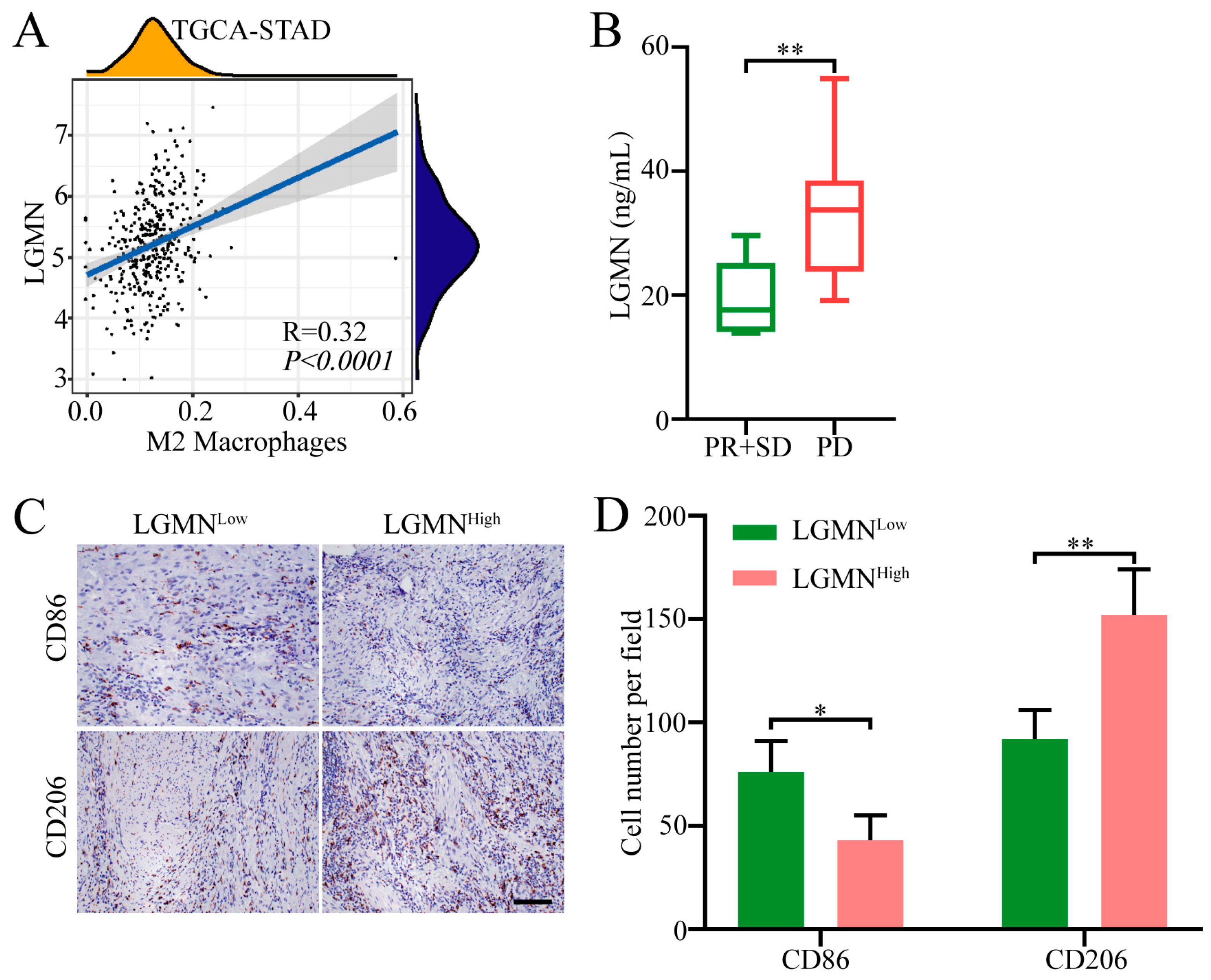 Pharmaceuticals 17 00951 g001