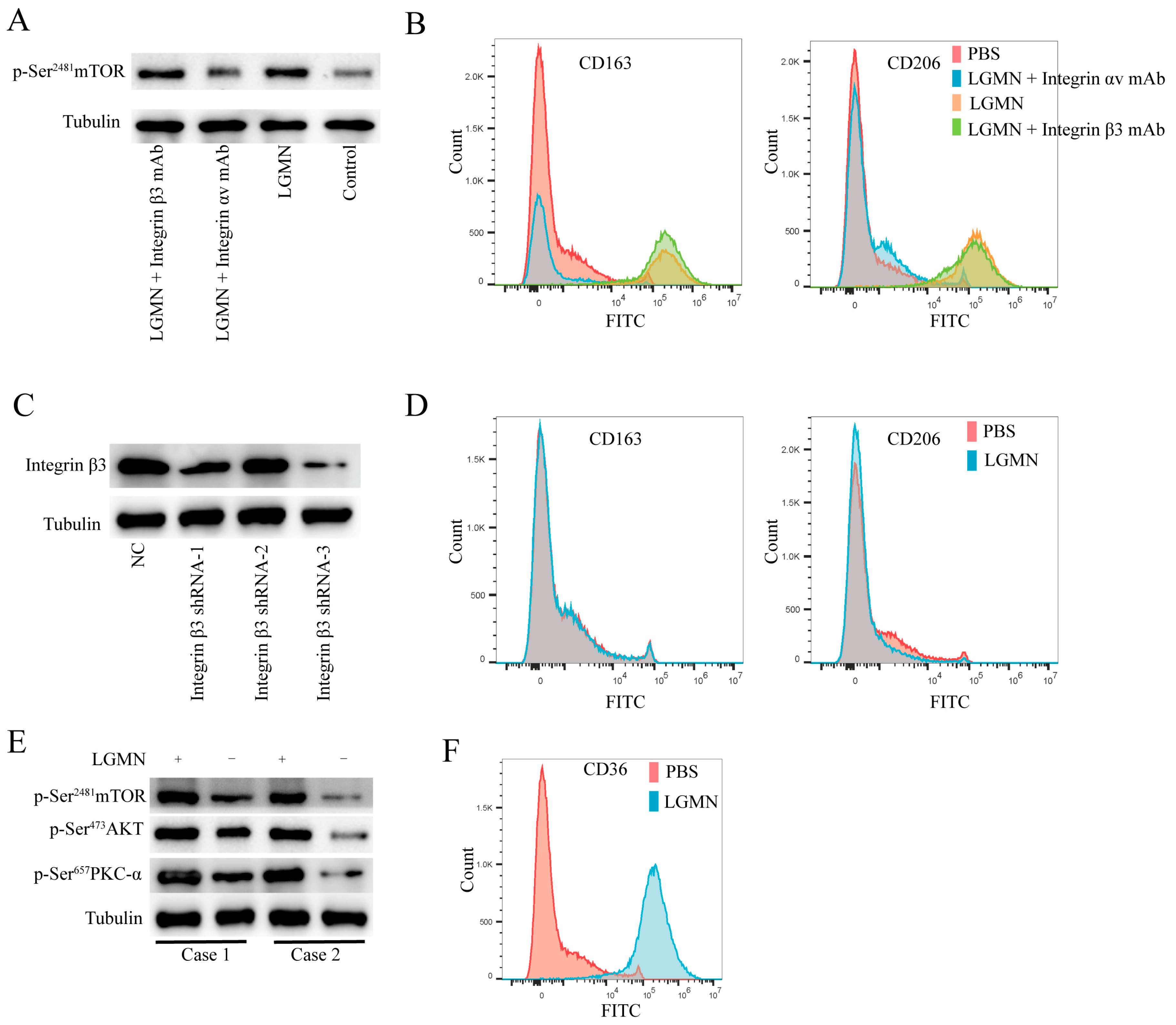 Pharmaceuticals 17 00951 g003