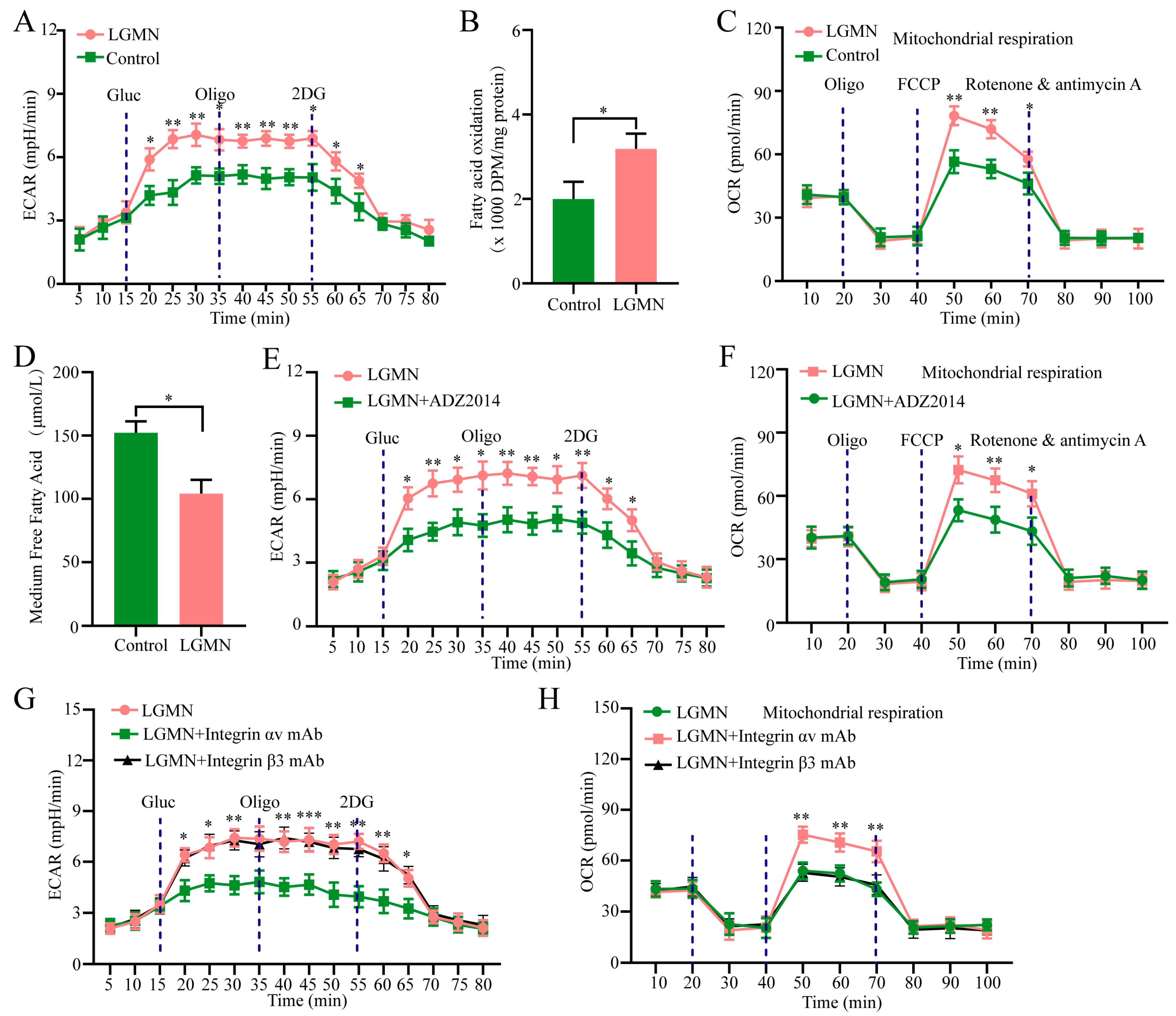 Pharmaceuticals 17 00951 g005