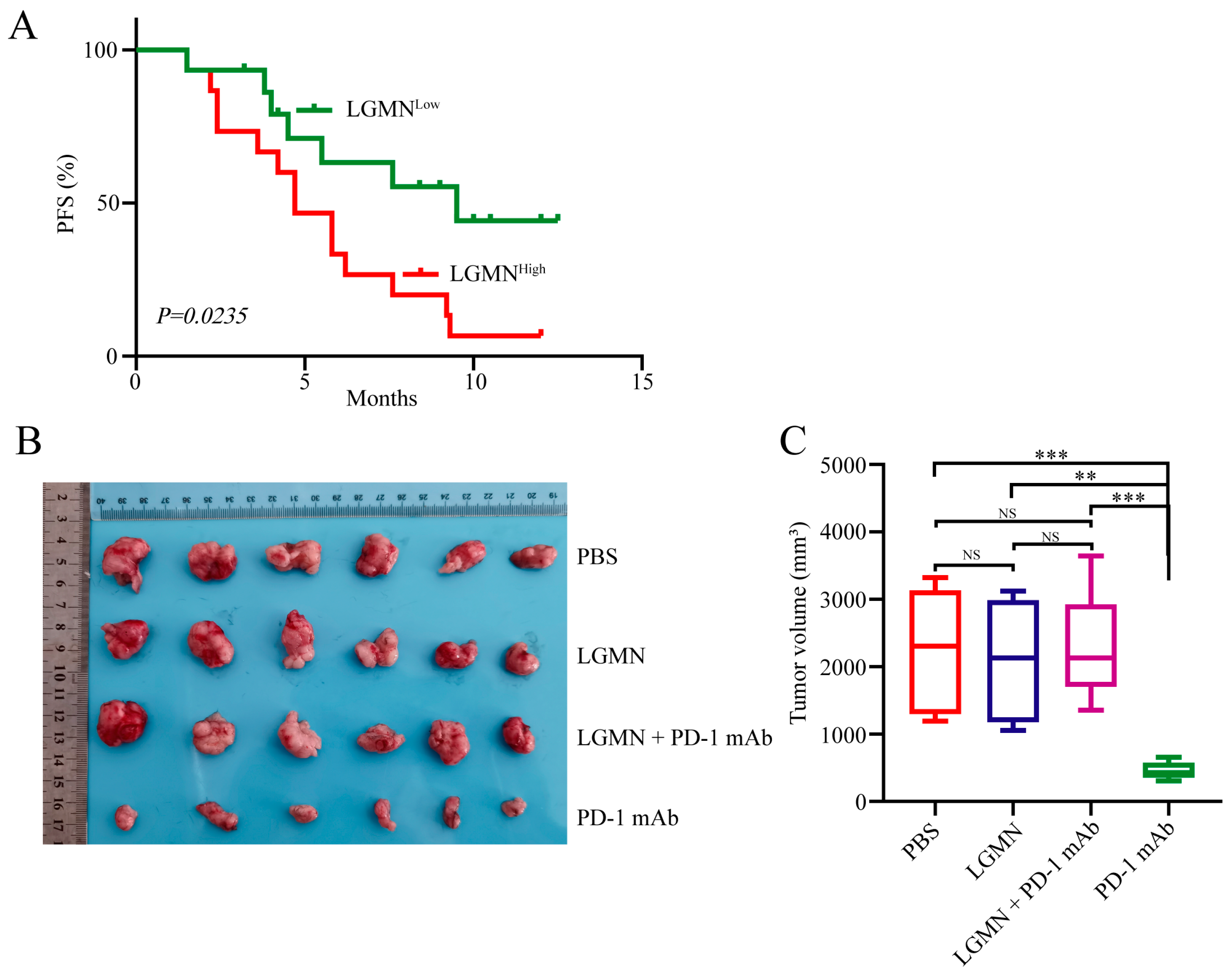 Pharmaceuticals 17 00951 g006