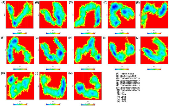 Computational Design of Novel Tau-Tubulin Kinase 1