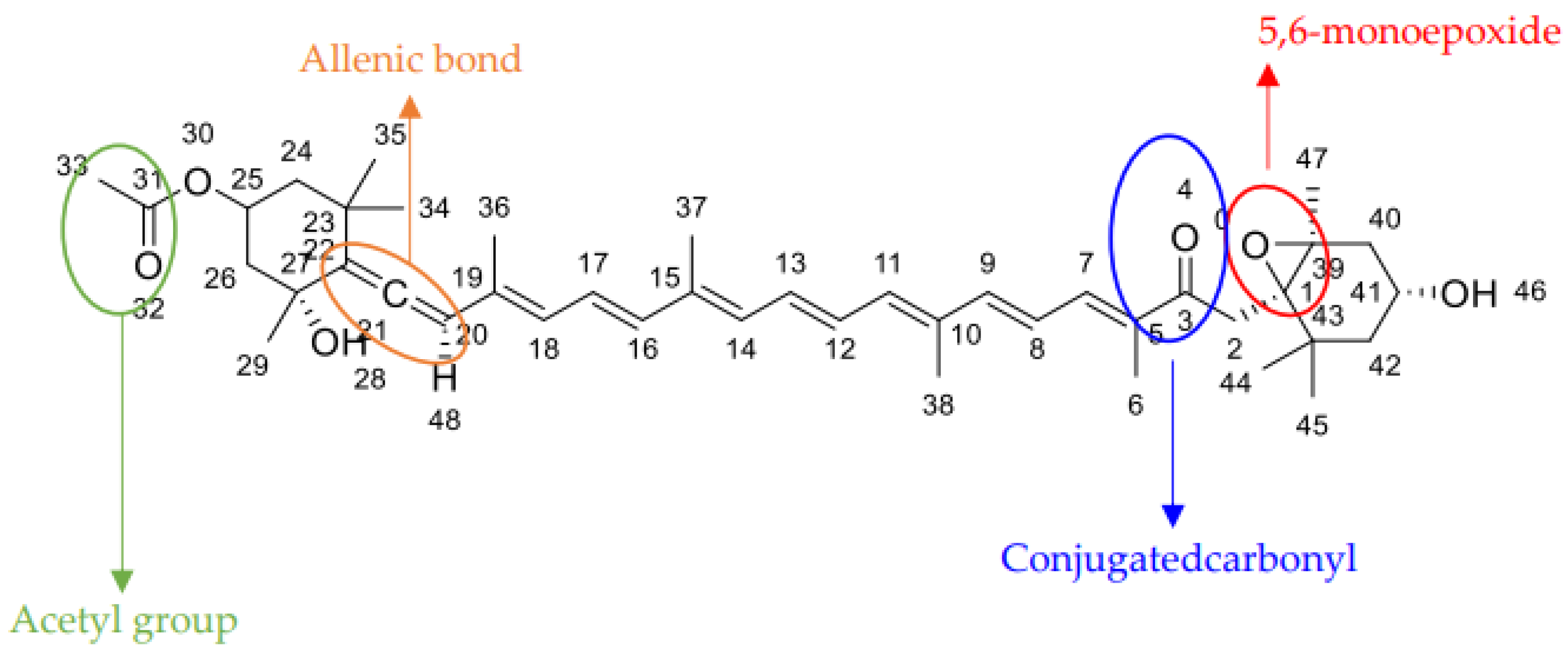 Pharmaceuticals 17 00960 g002