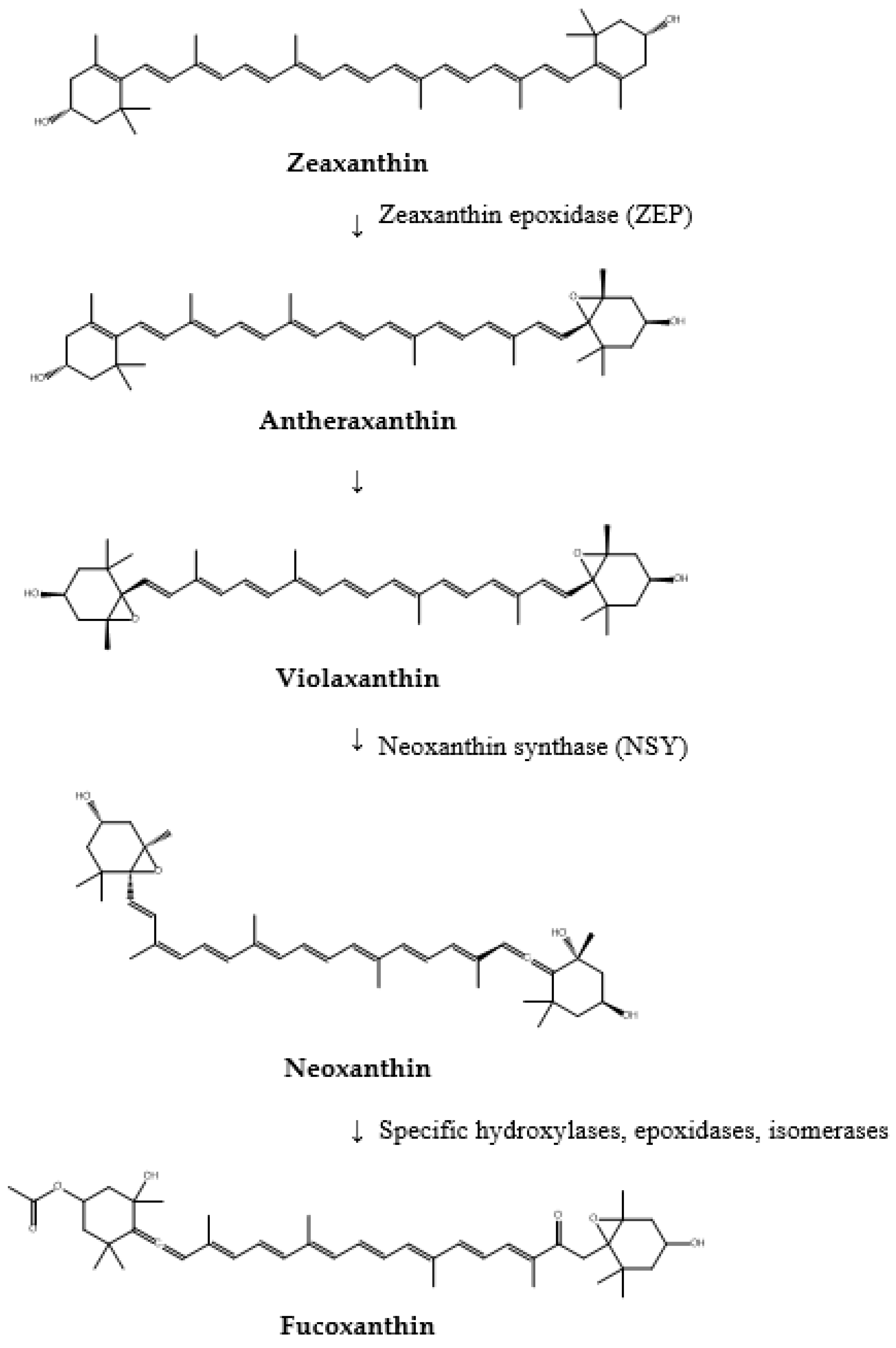 Pharmaceuticals 17 00960 g005b