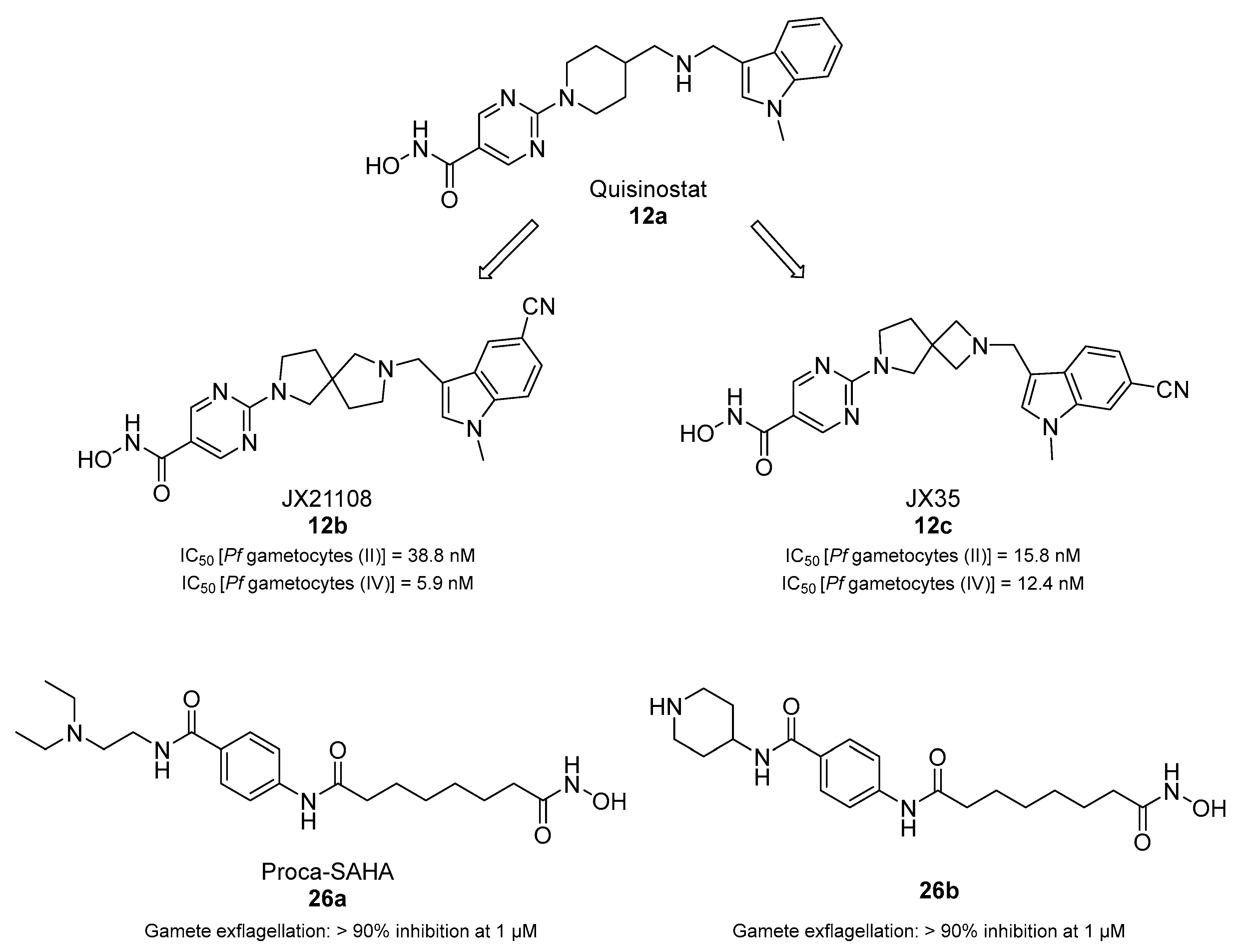 Pharmaceuticals 17 00962 g005 Pharmaceuticals 17 00962 g005