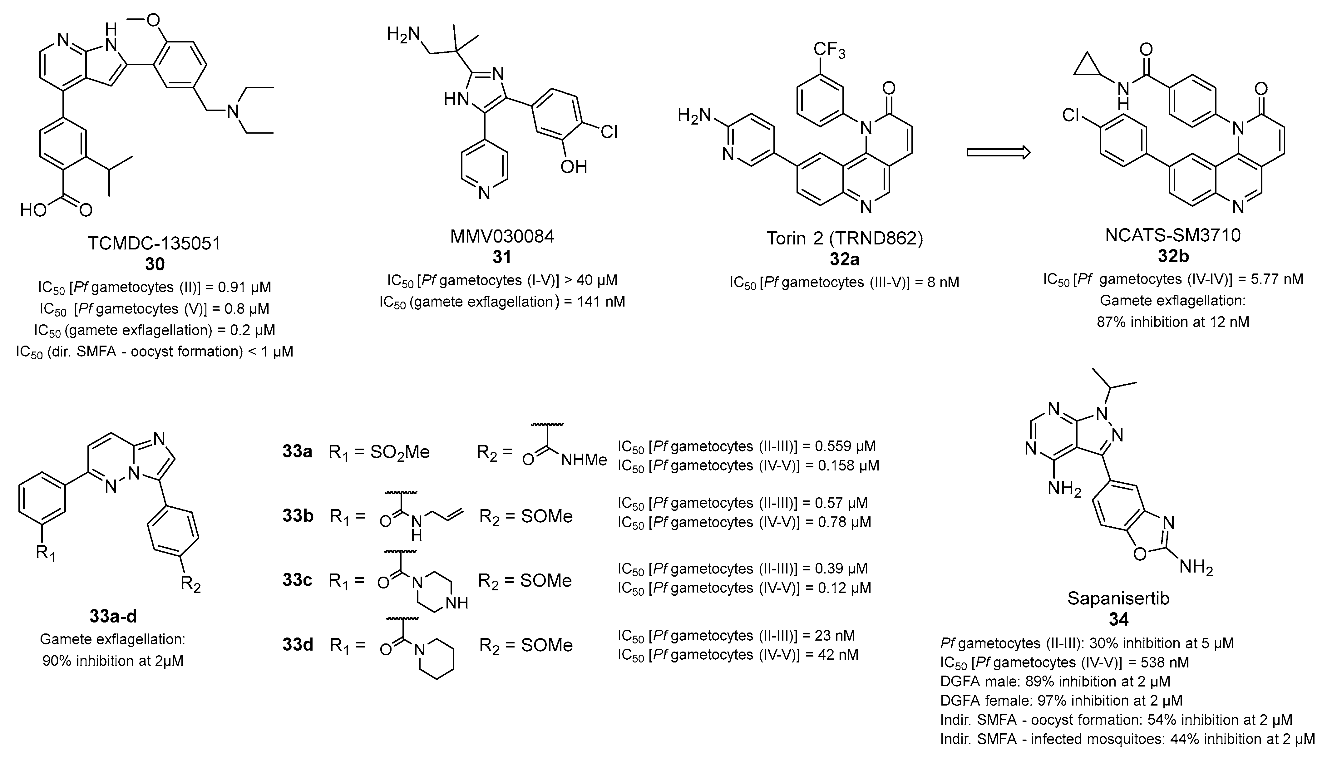 Pharmaceuticals 17 00962 g007 Pharmaceuticals 17 00962 g007