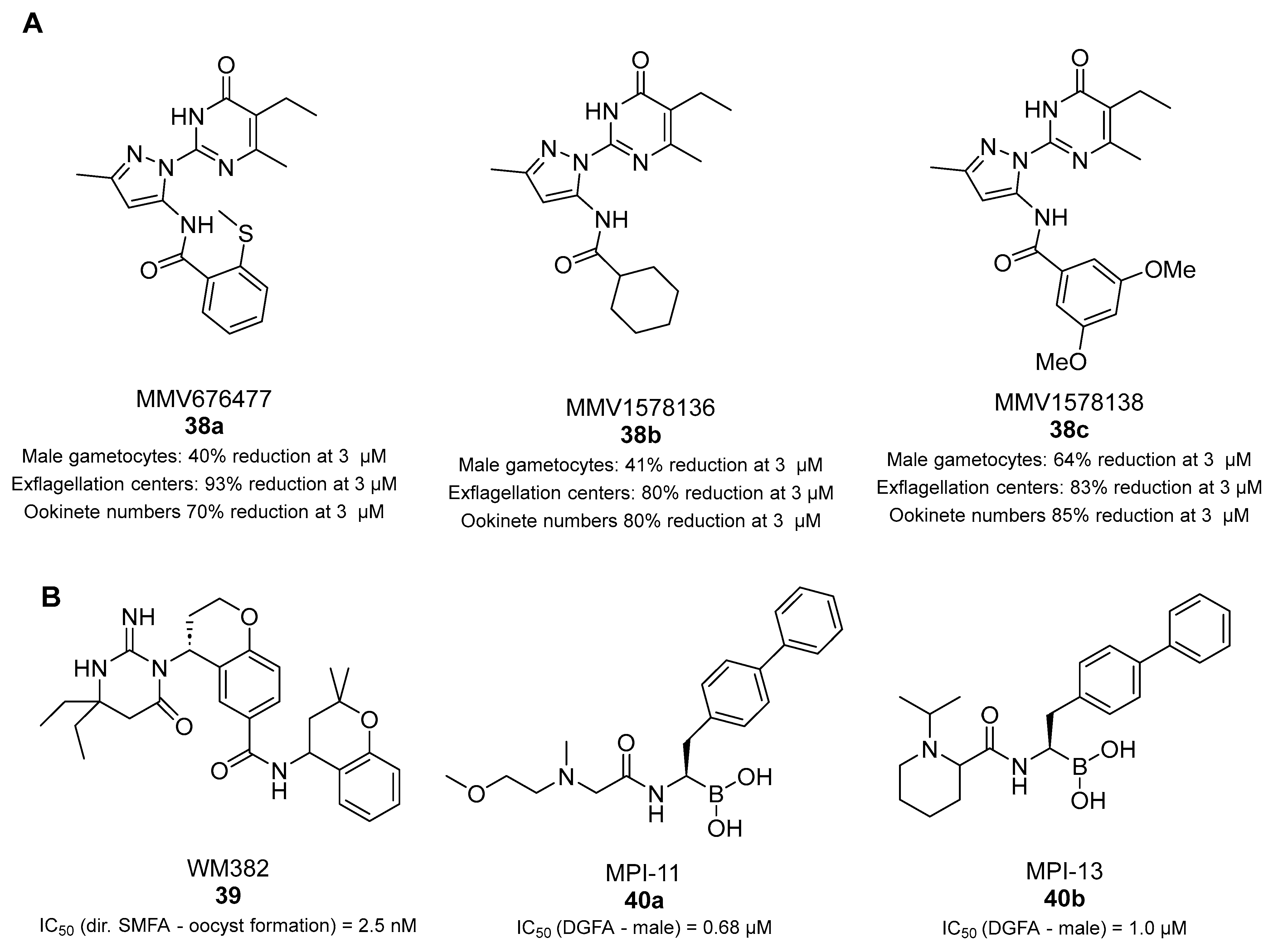 Pharmaceuticals 17 00962 g010 Pharmaceuticals 17 00962 g010