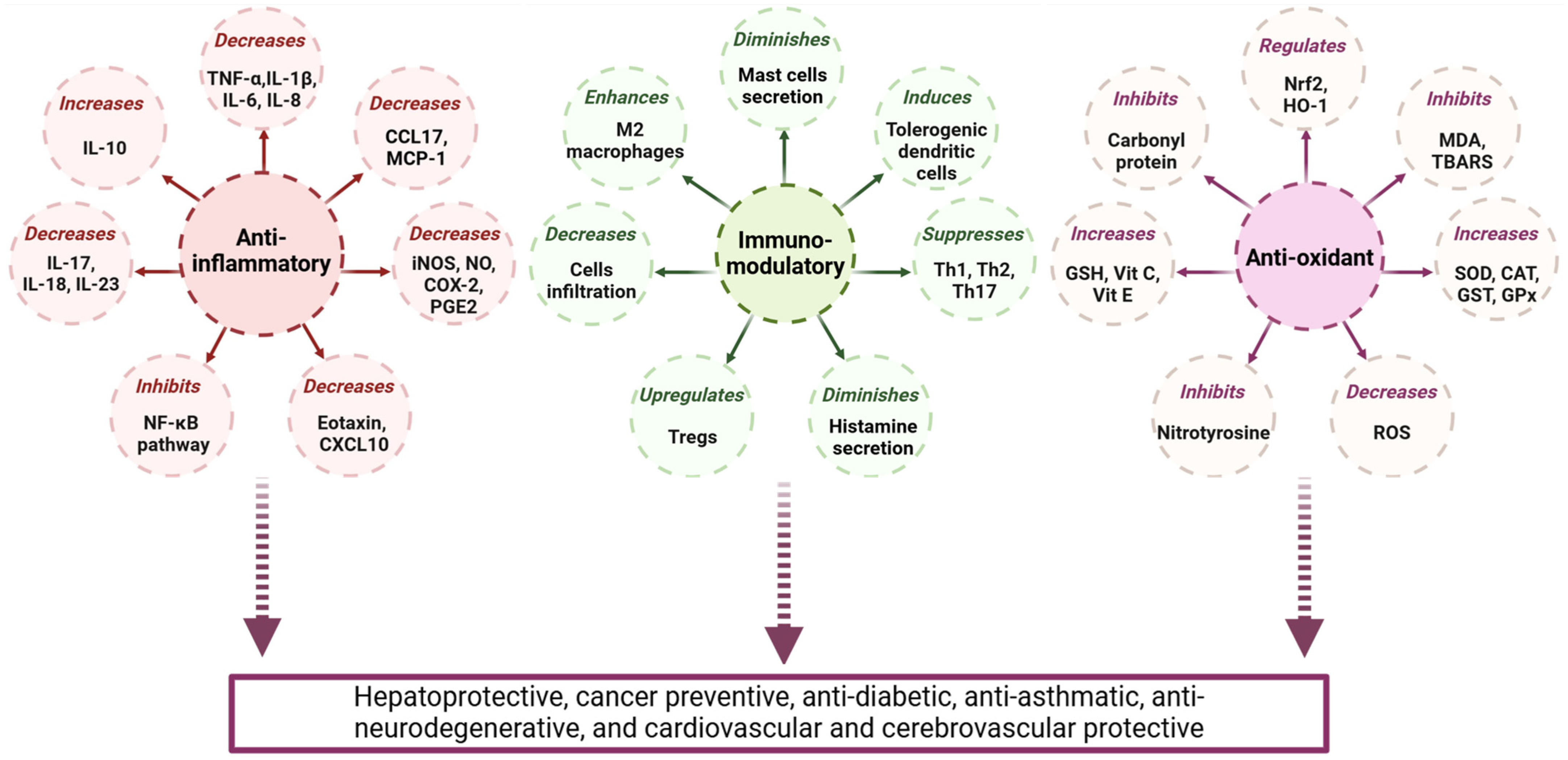 Pharmaceuticals 17 00963 g003