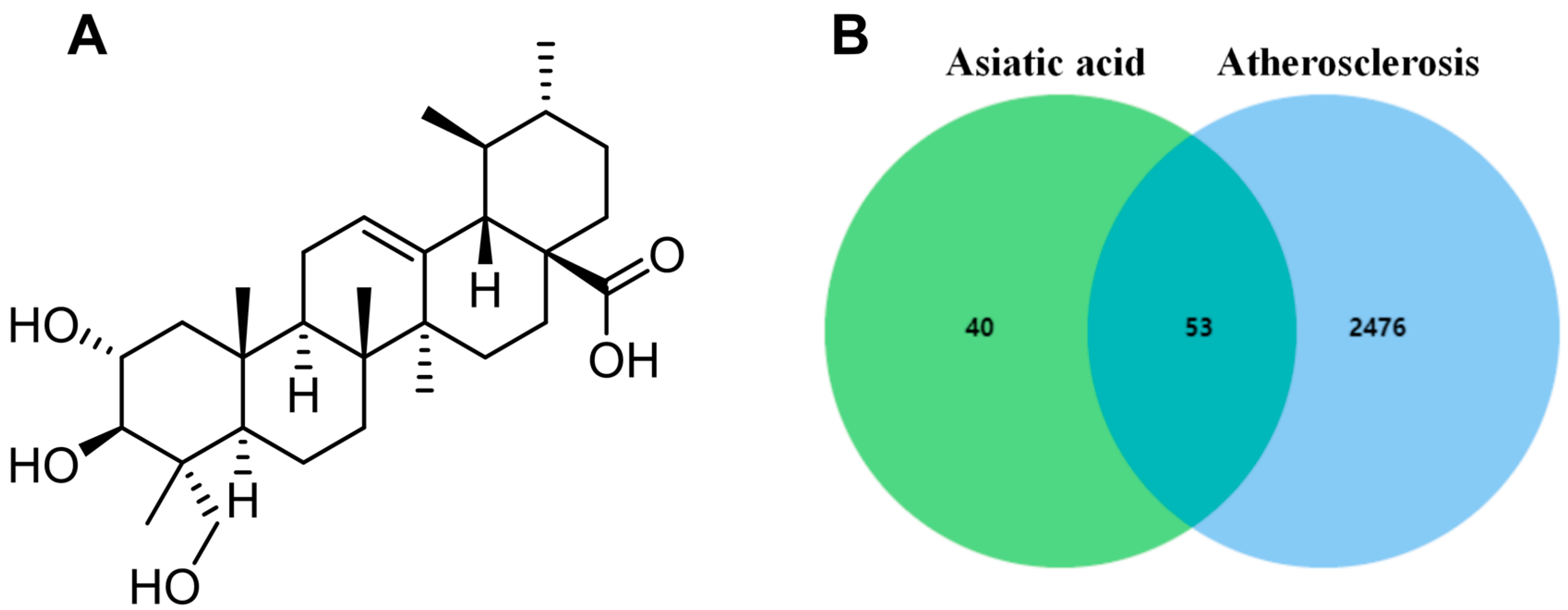 Pharmaceuticals 17 00969 g001