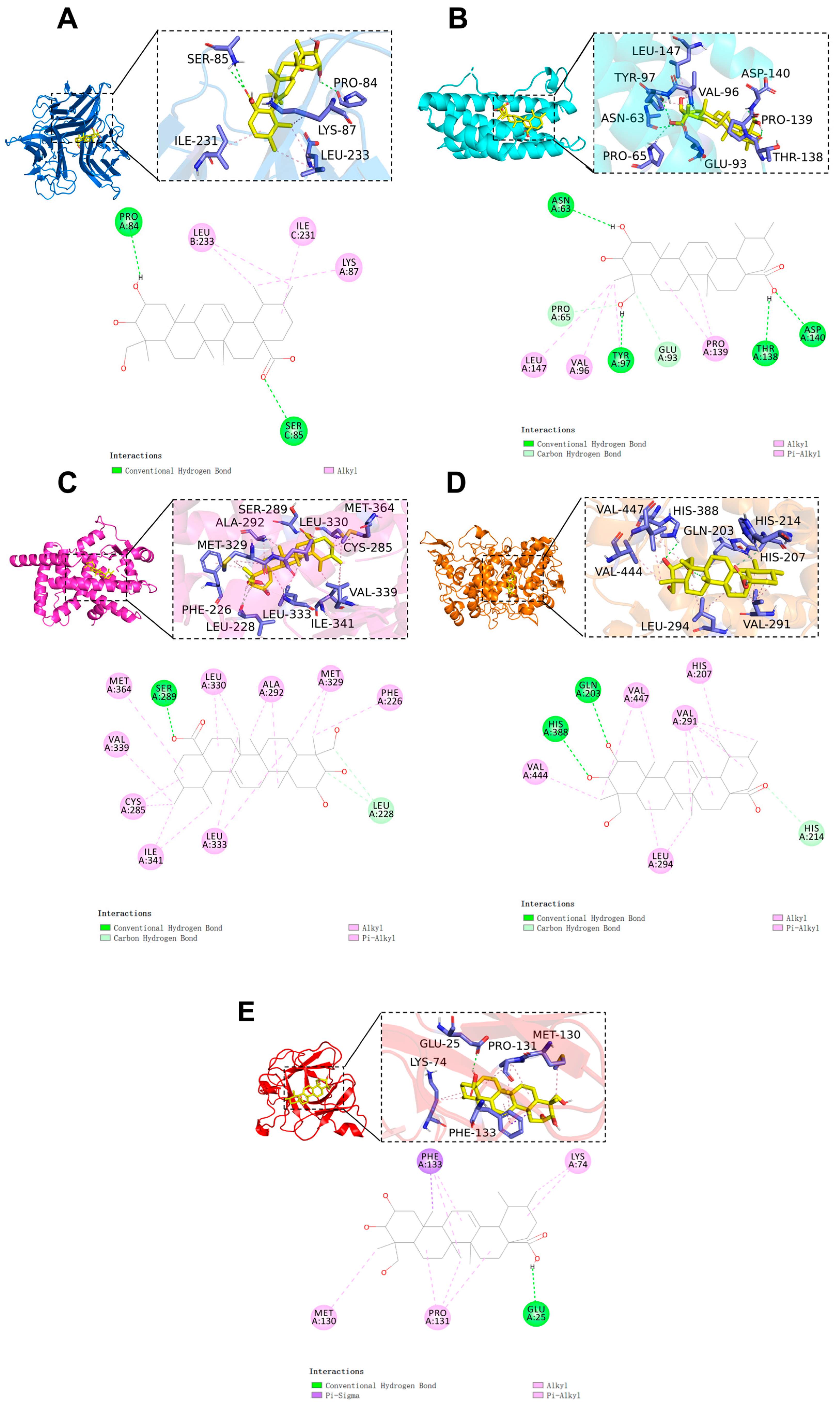 Pharmaceuticals 17 00969 g004