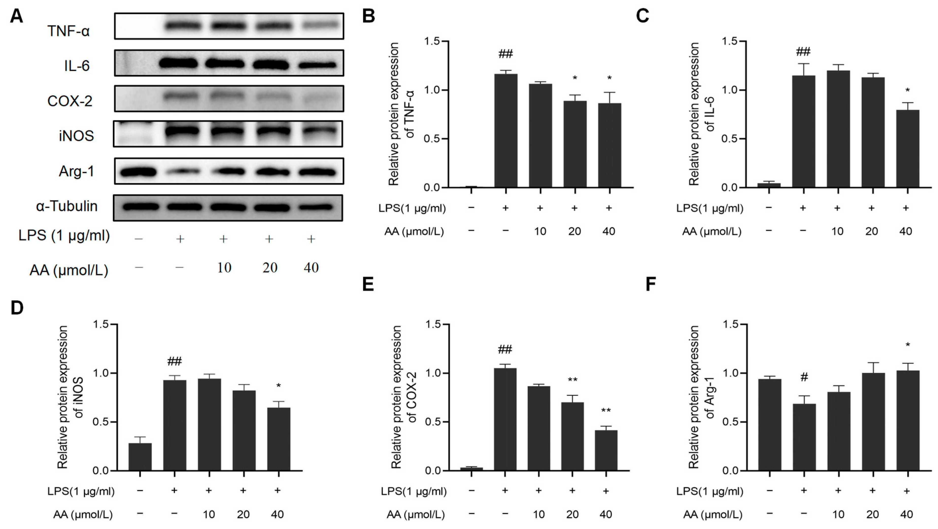 Pharmaceuticals 17 00969 g010