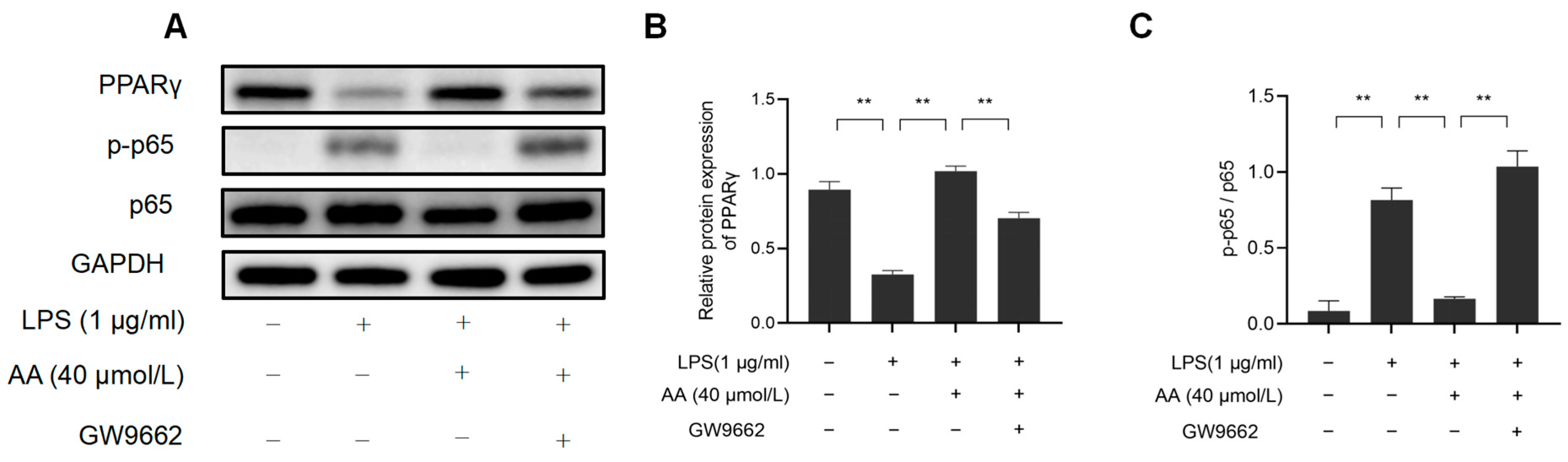 Pharmaceuticals 17 00969 g012