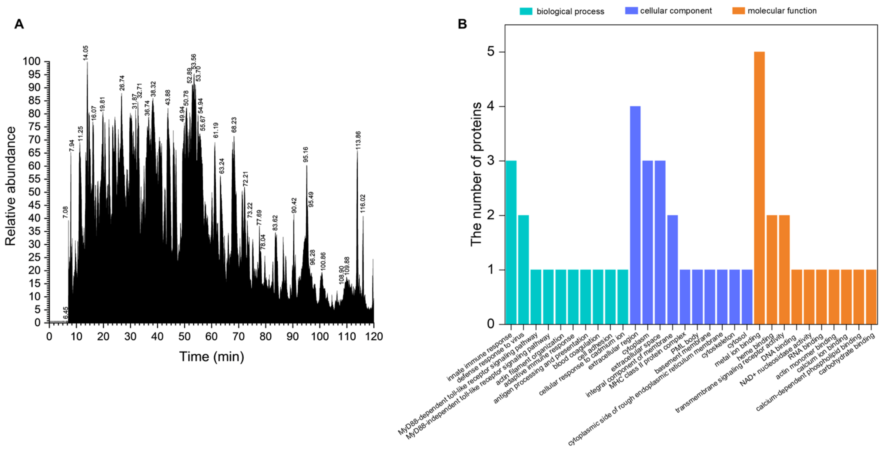 Pharmaceuticals 17 00972 g001