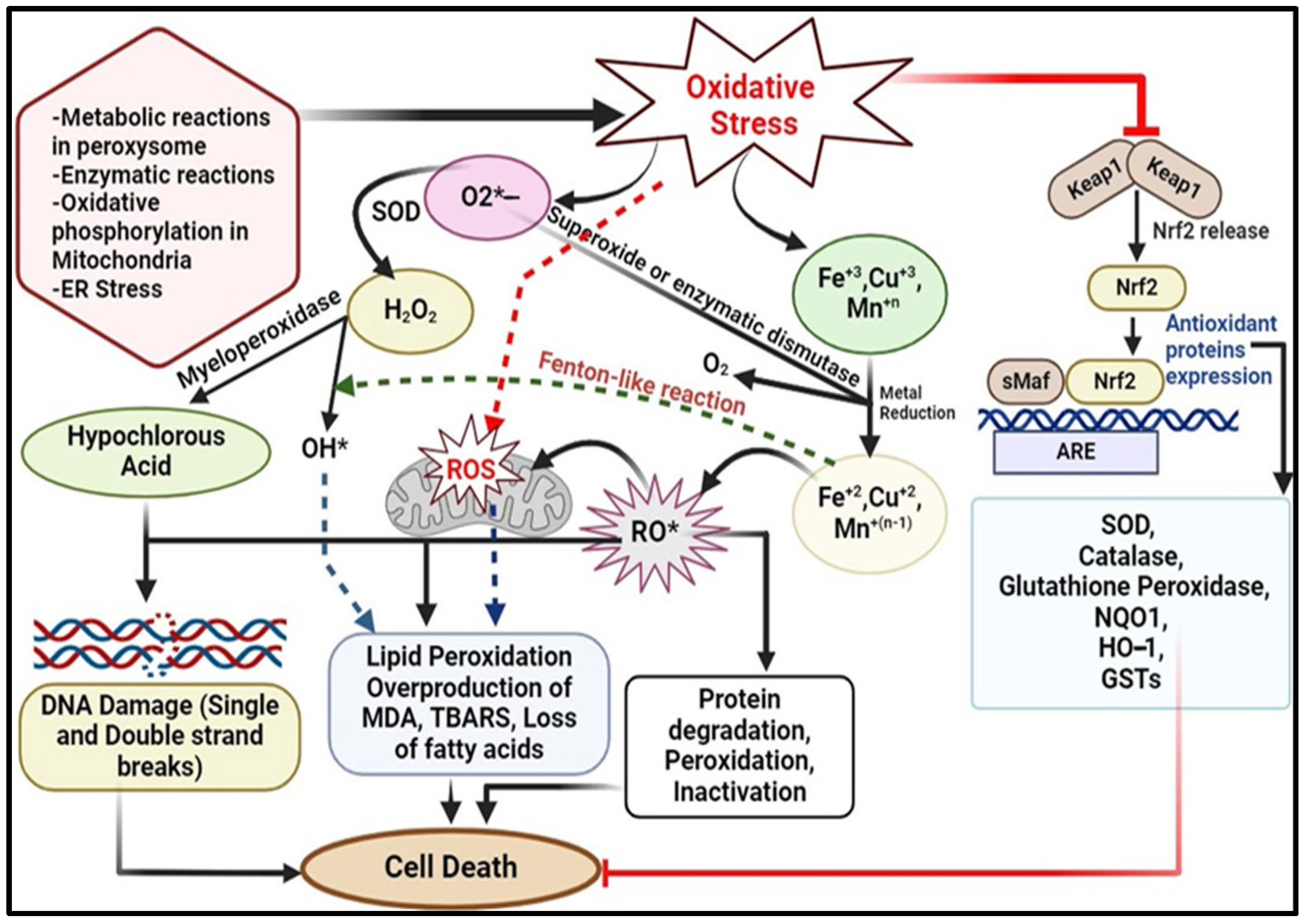 Pharmaceuticals 17 00975 g002 Pharmaceuticals 17 00975 g002