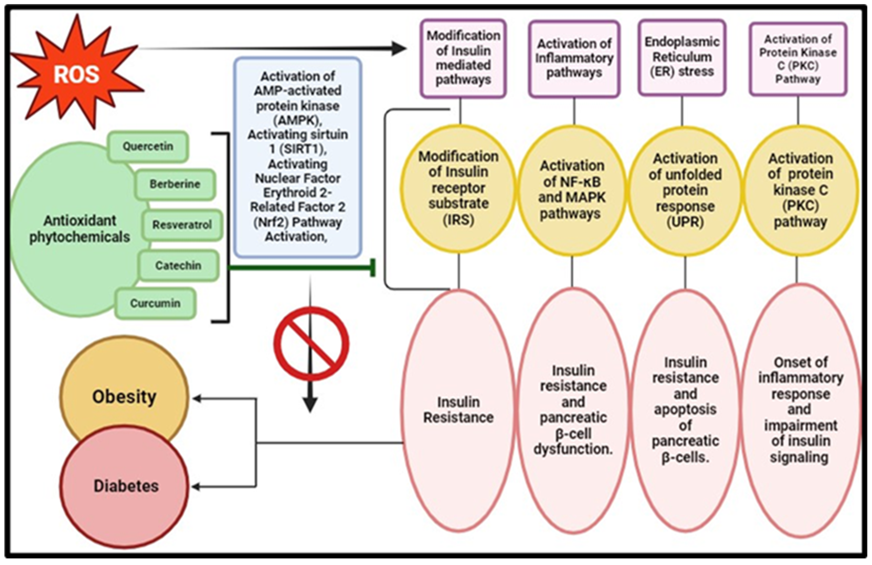 Pharmaceuticals 17 00975 g006 Pharmaceuticals 17 00975 g006