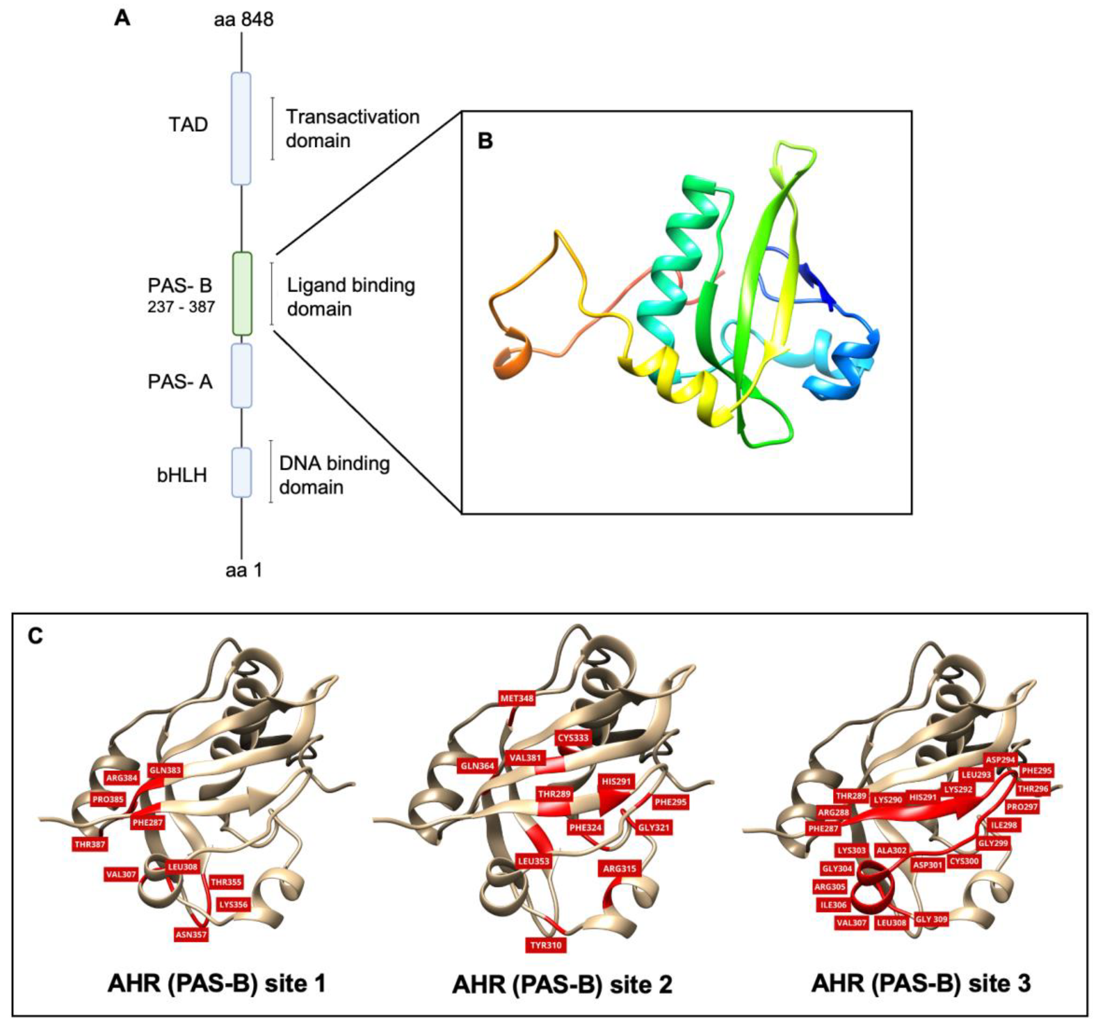 Pharmaceuticals 17 00980 g001