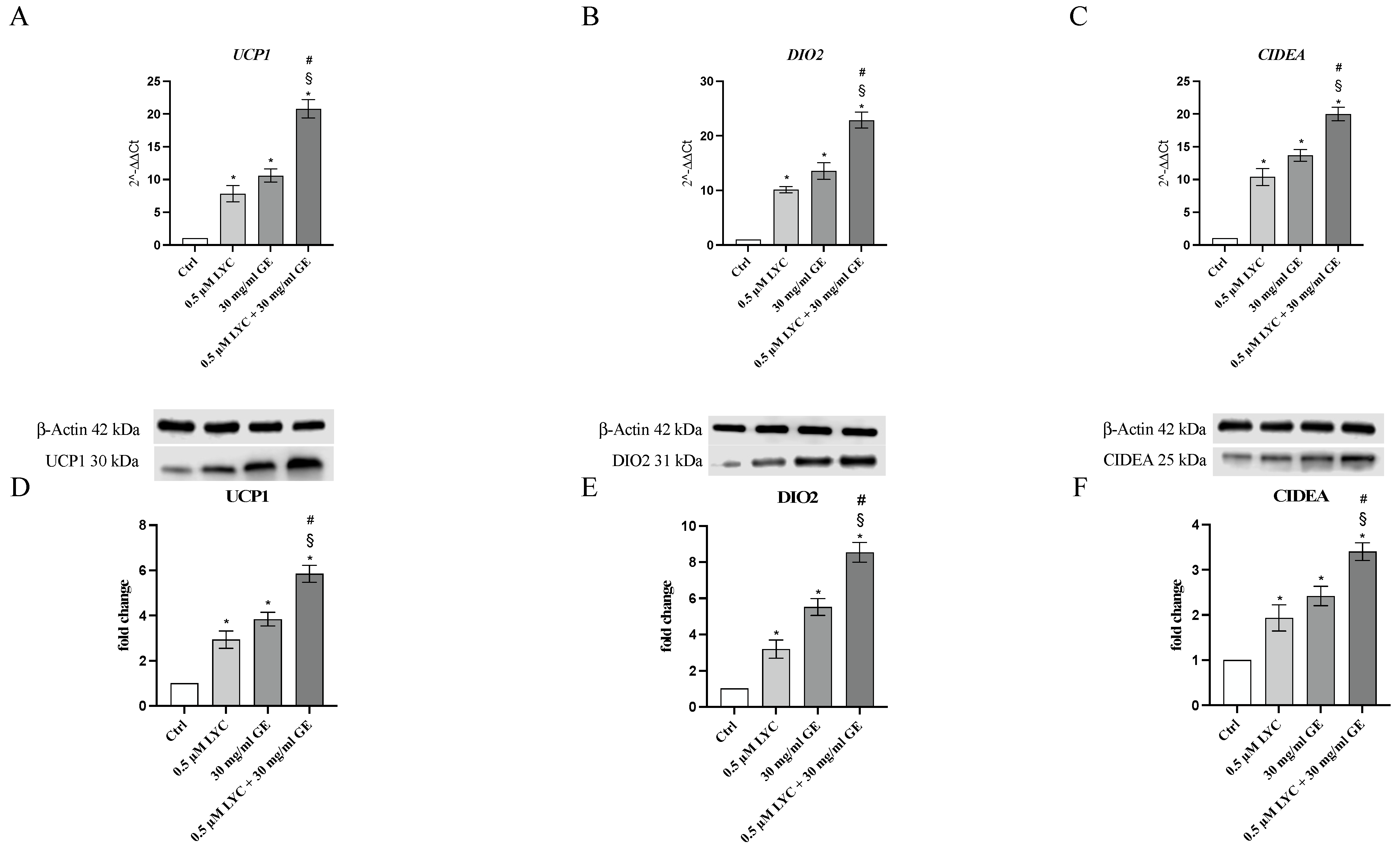 Pharmaceuticals 17 00986 g004
