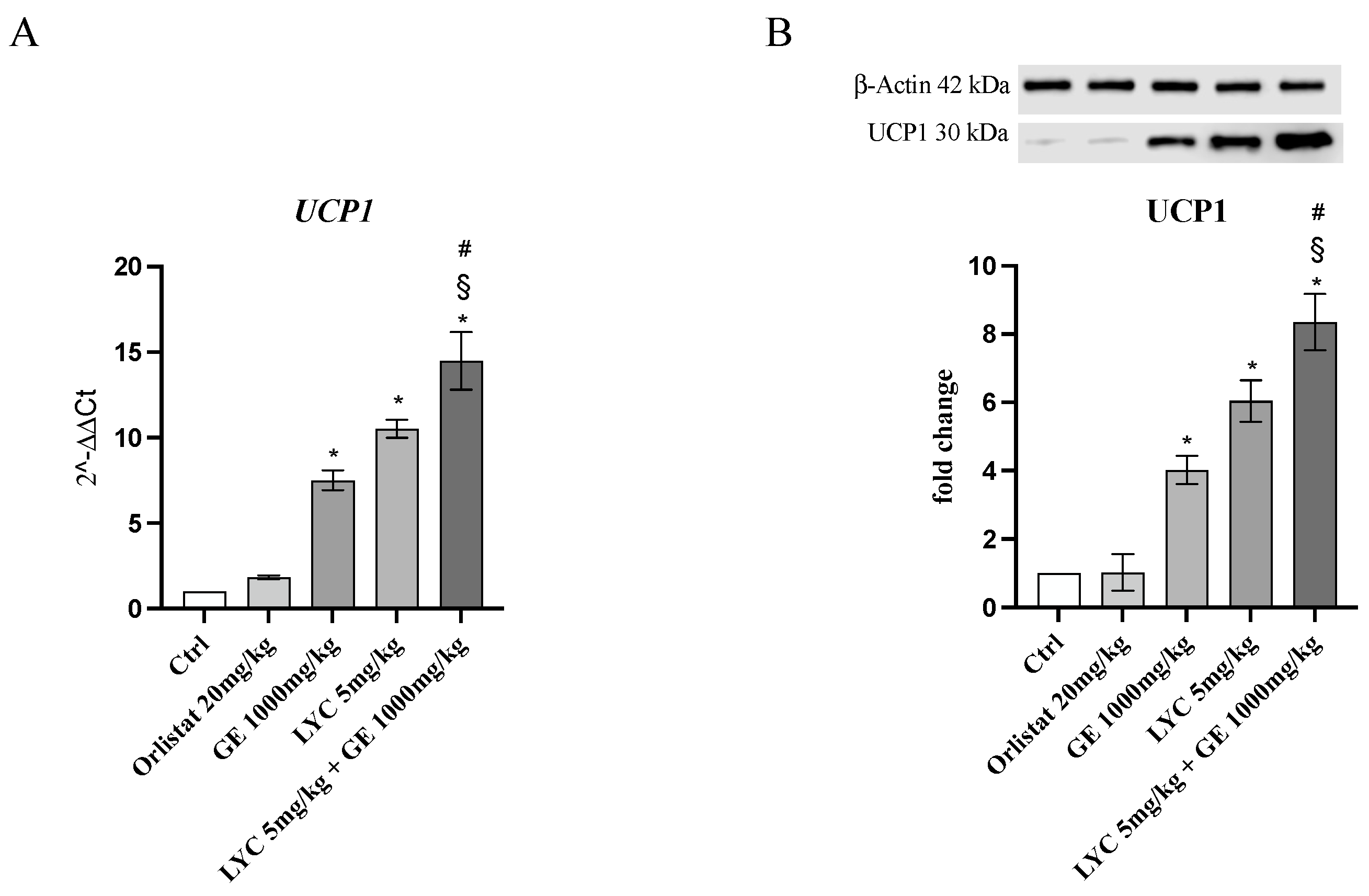 Pharmaceuticals 17 00986 g008