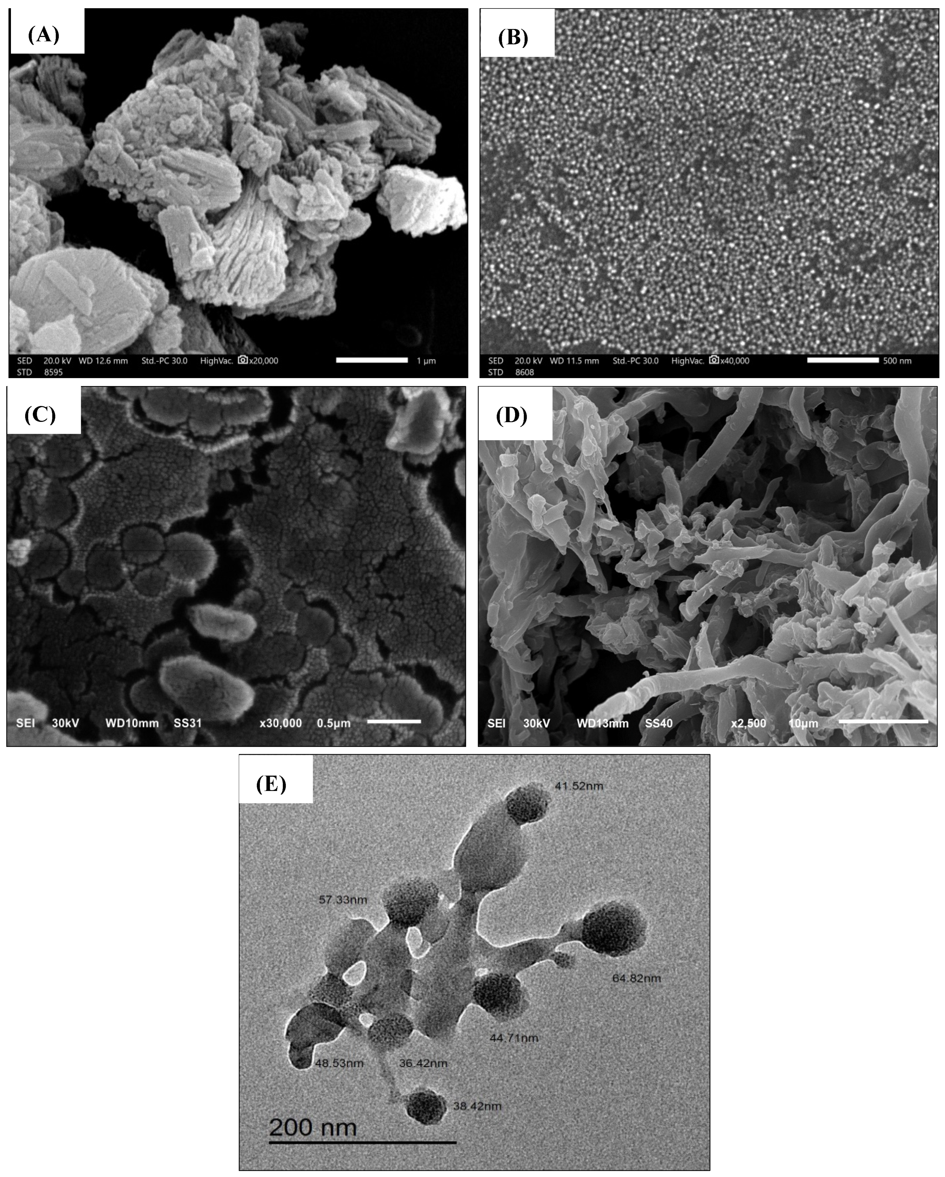 Pharmaceuticals 17 00999 g005