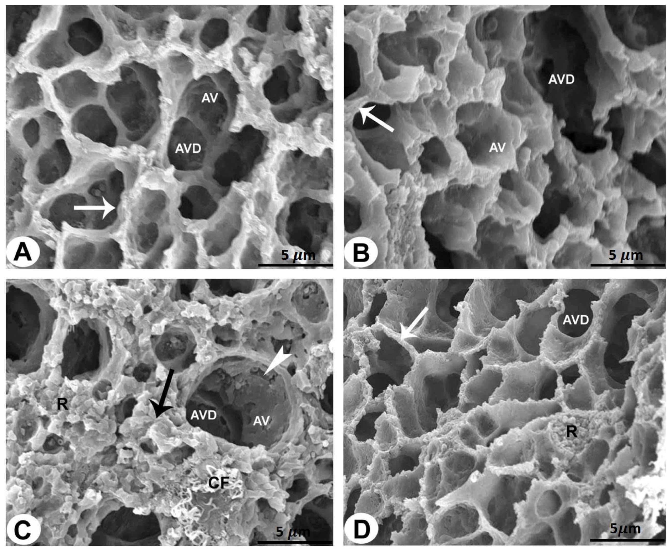 Pharmaceuticals 17 01004 g002