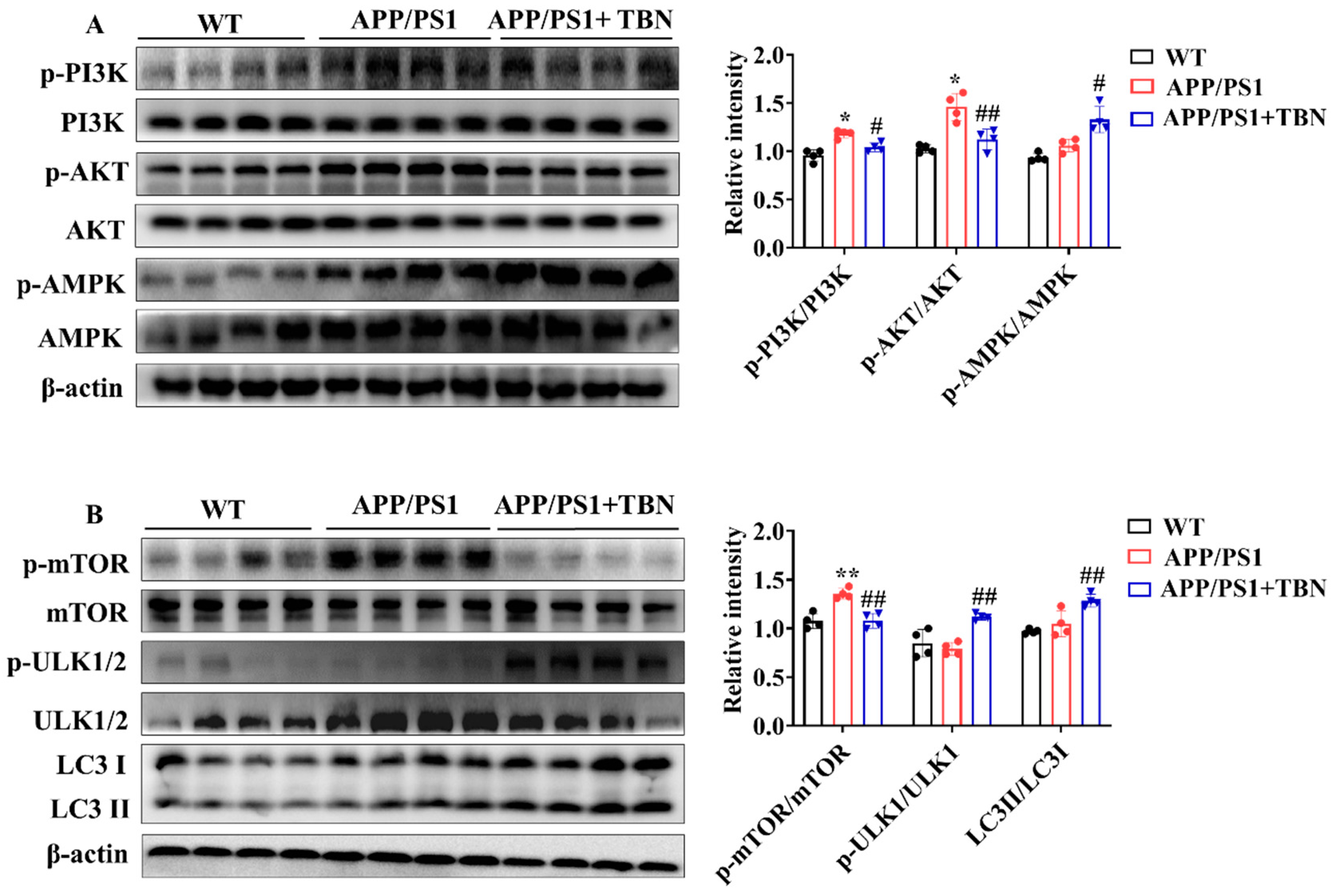 Pharmaceuticals 17 01005 g004