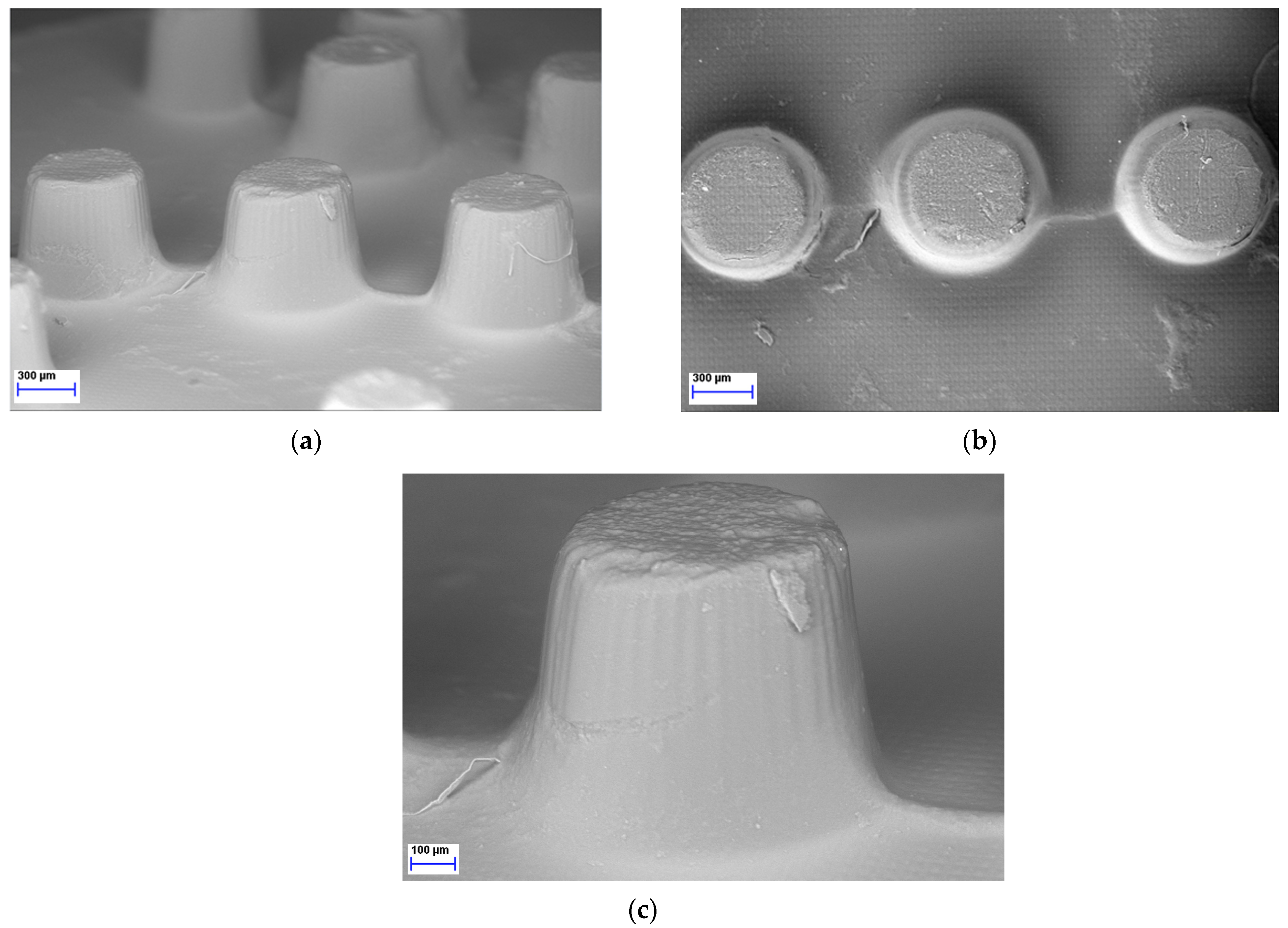 Pharmaceuticals 17 01017 g005