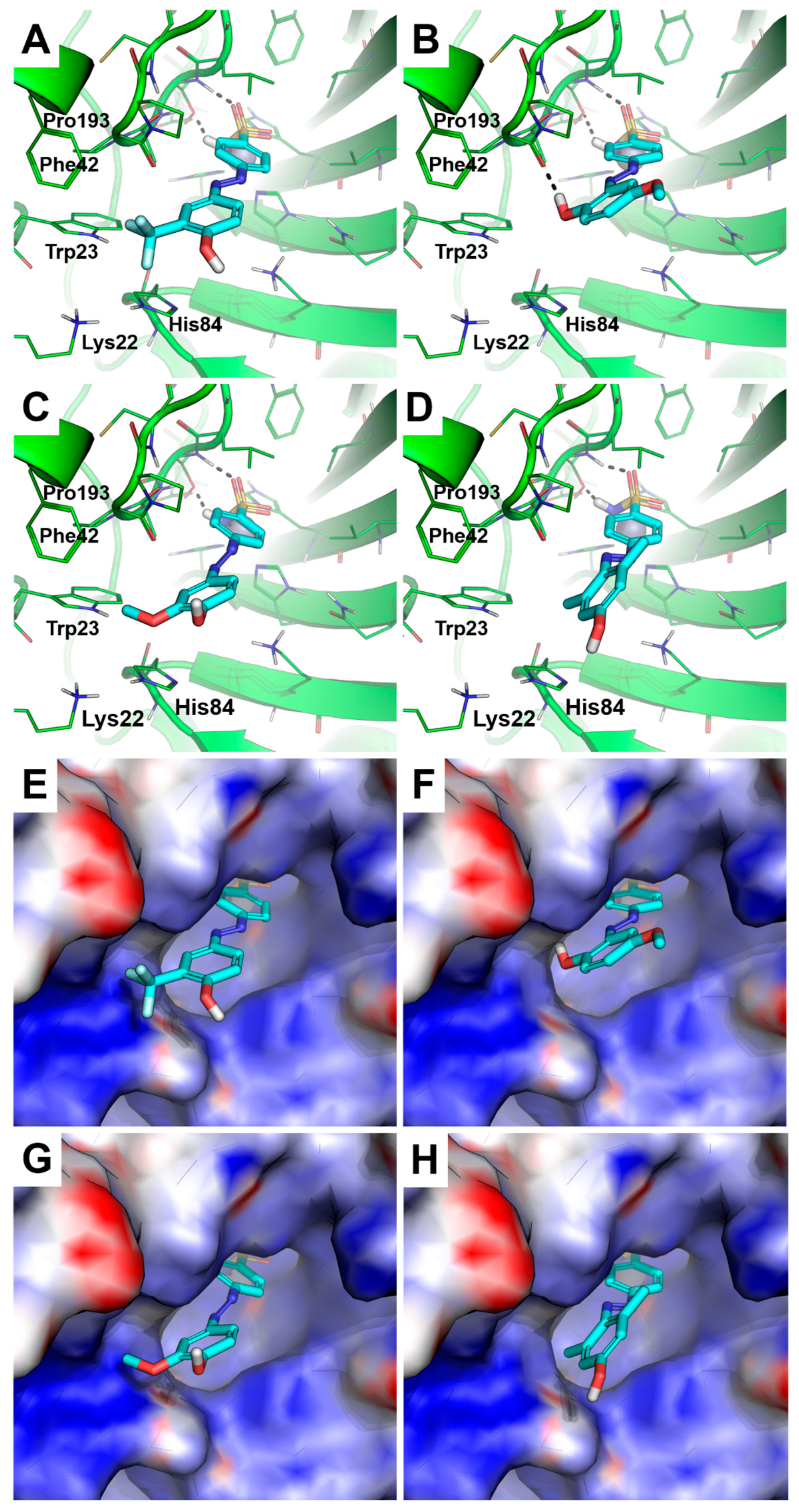 Pharmaceuticals 17 01027 g002