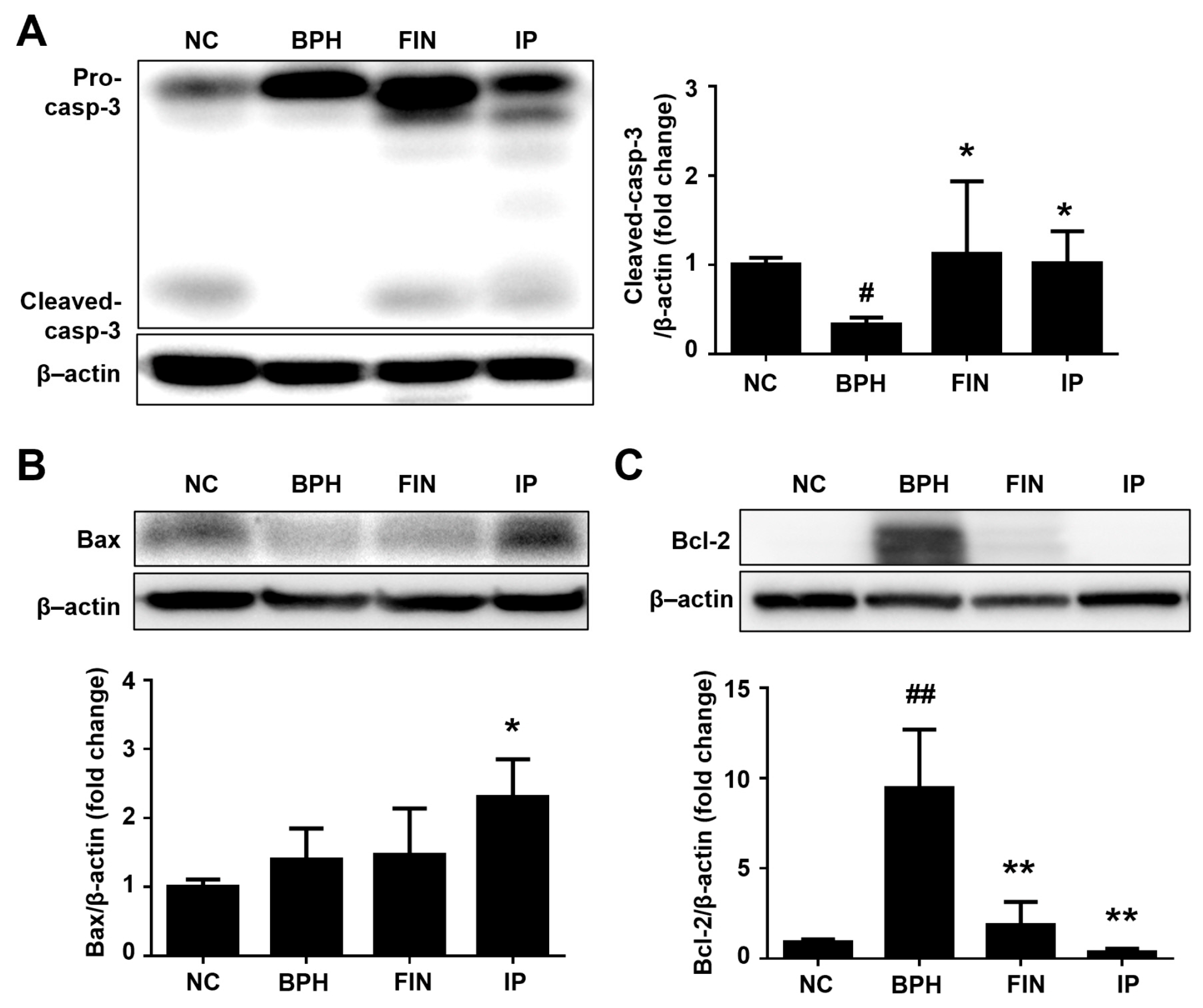 Pharmaceuticals 17 01032 g005