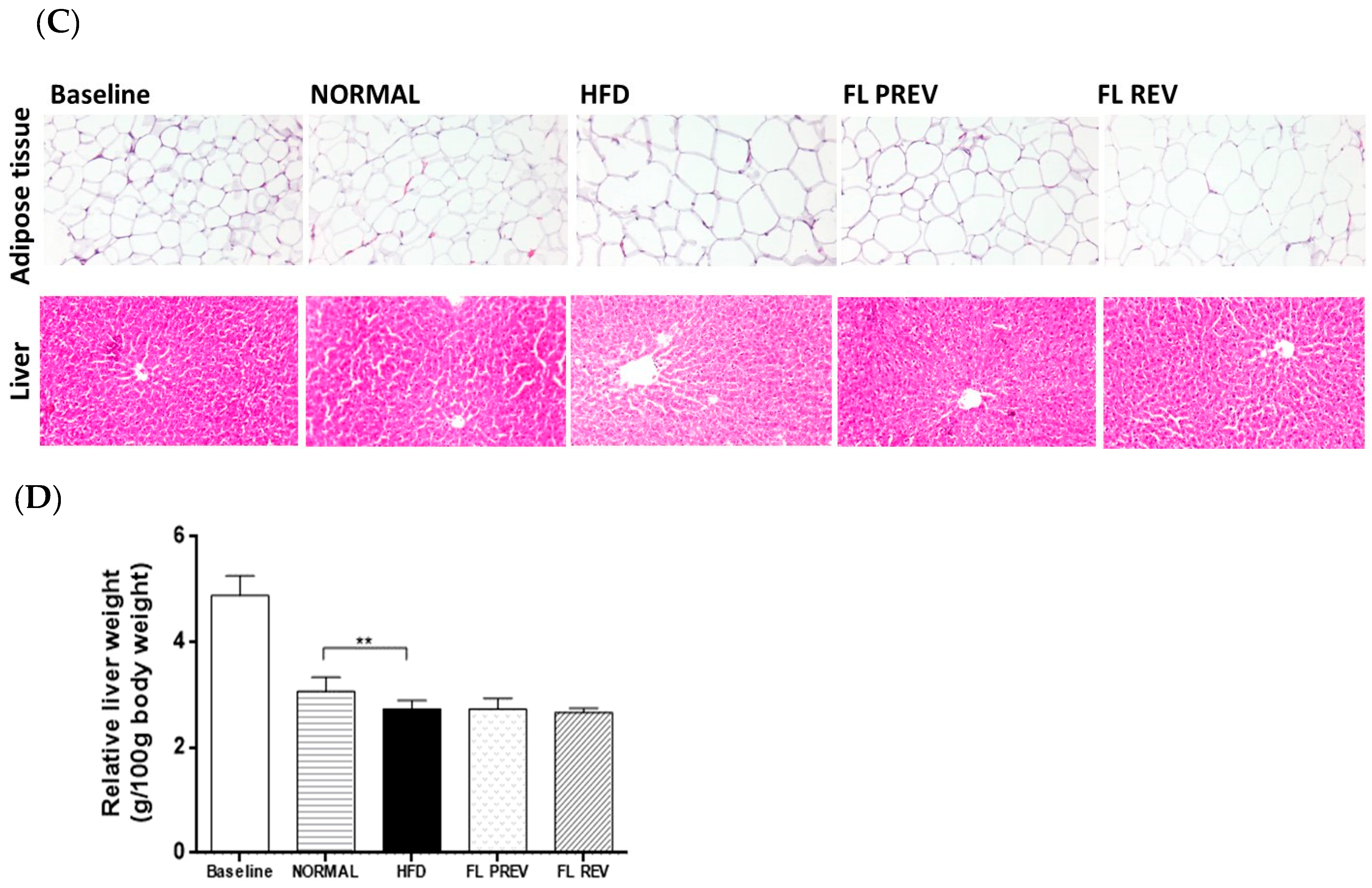 Pharmaceuticals 17 01036 g003b