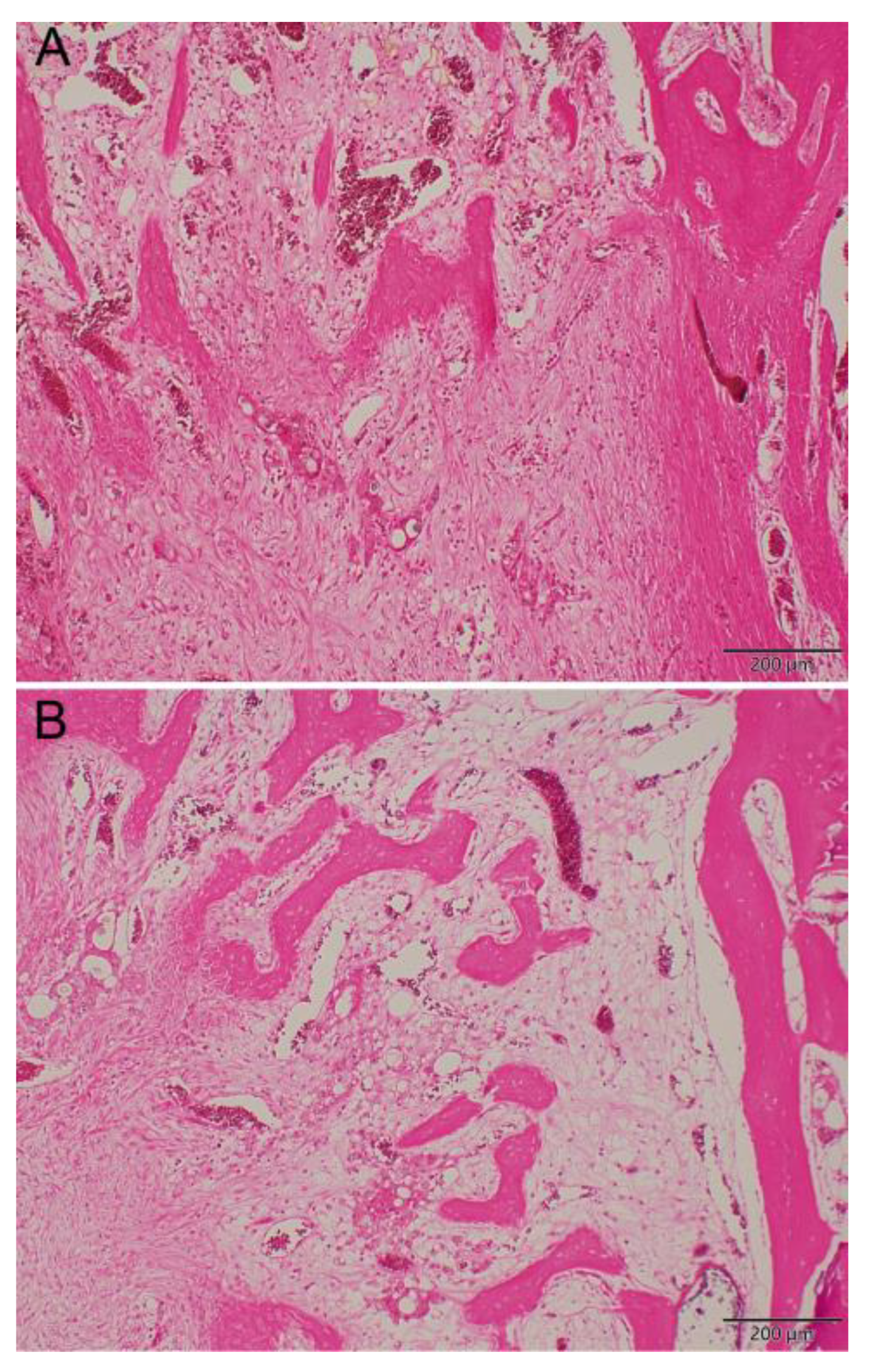 Pharmaceuticals 17 01038 g010