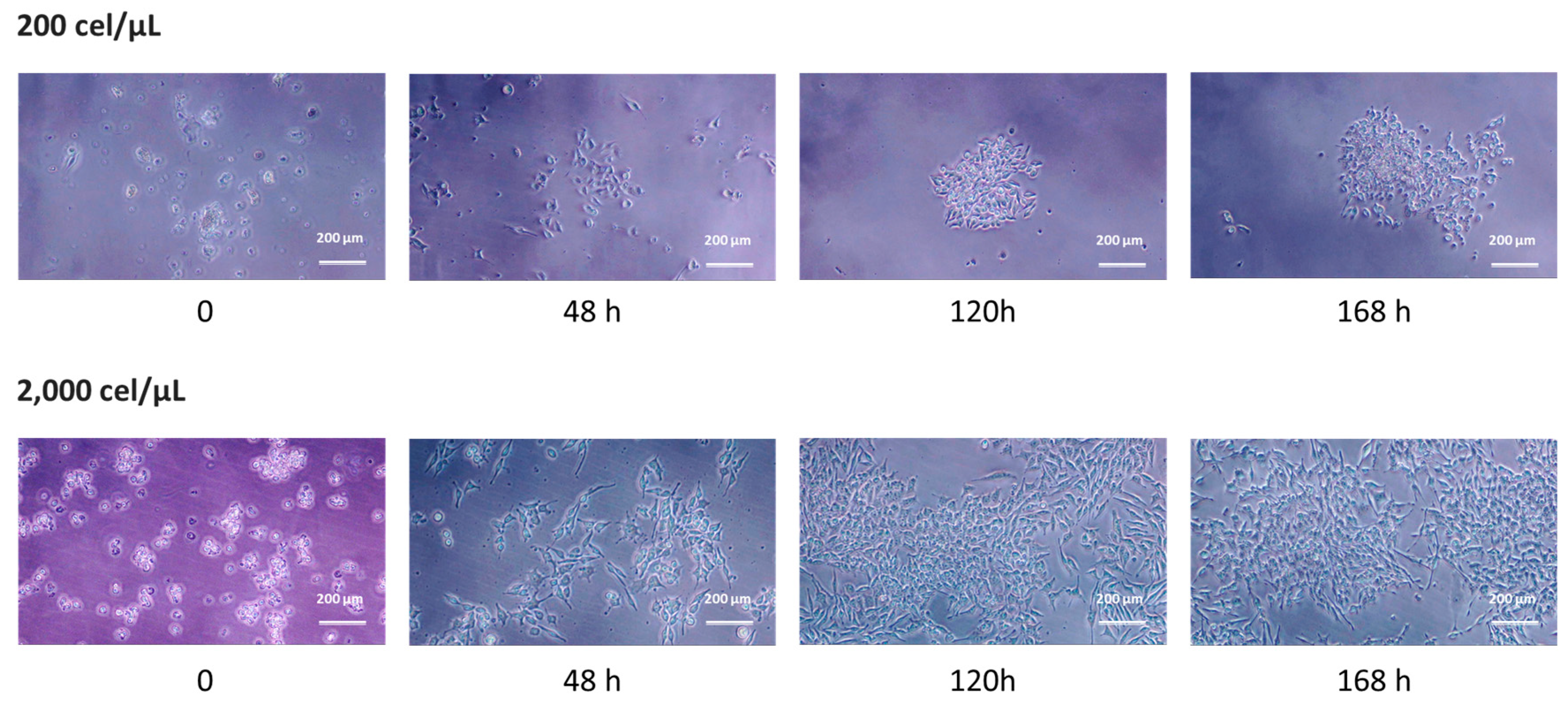 Pharmaceuticals 17 01042 g003
