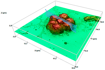 Pharmaceuticals 17 01042 i001