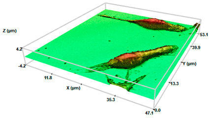 Pharmaceuticals 17 01042 i002