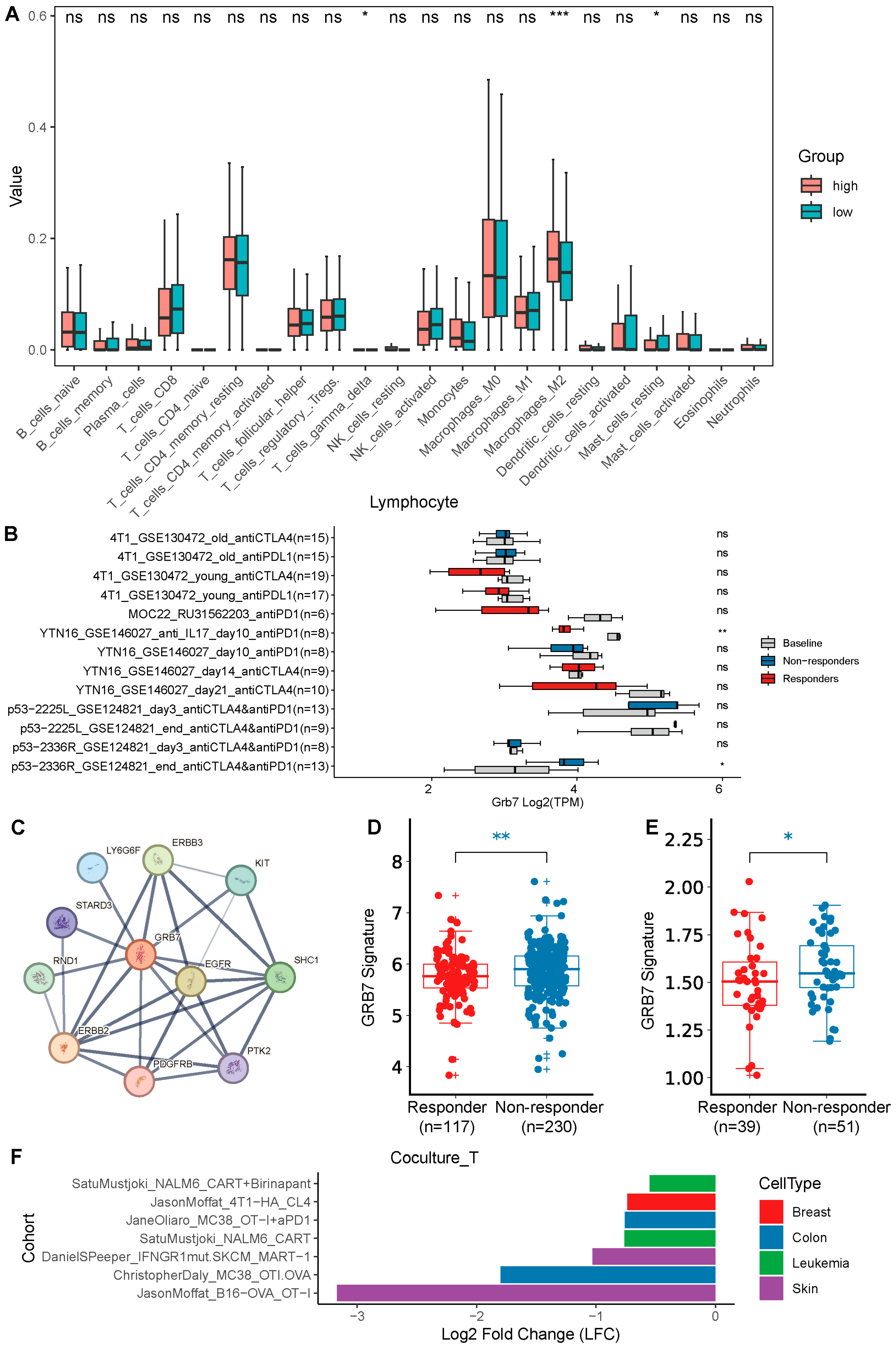 Pharmaceuticals 17 01043 g004