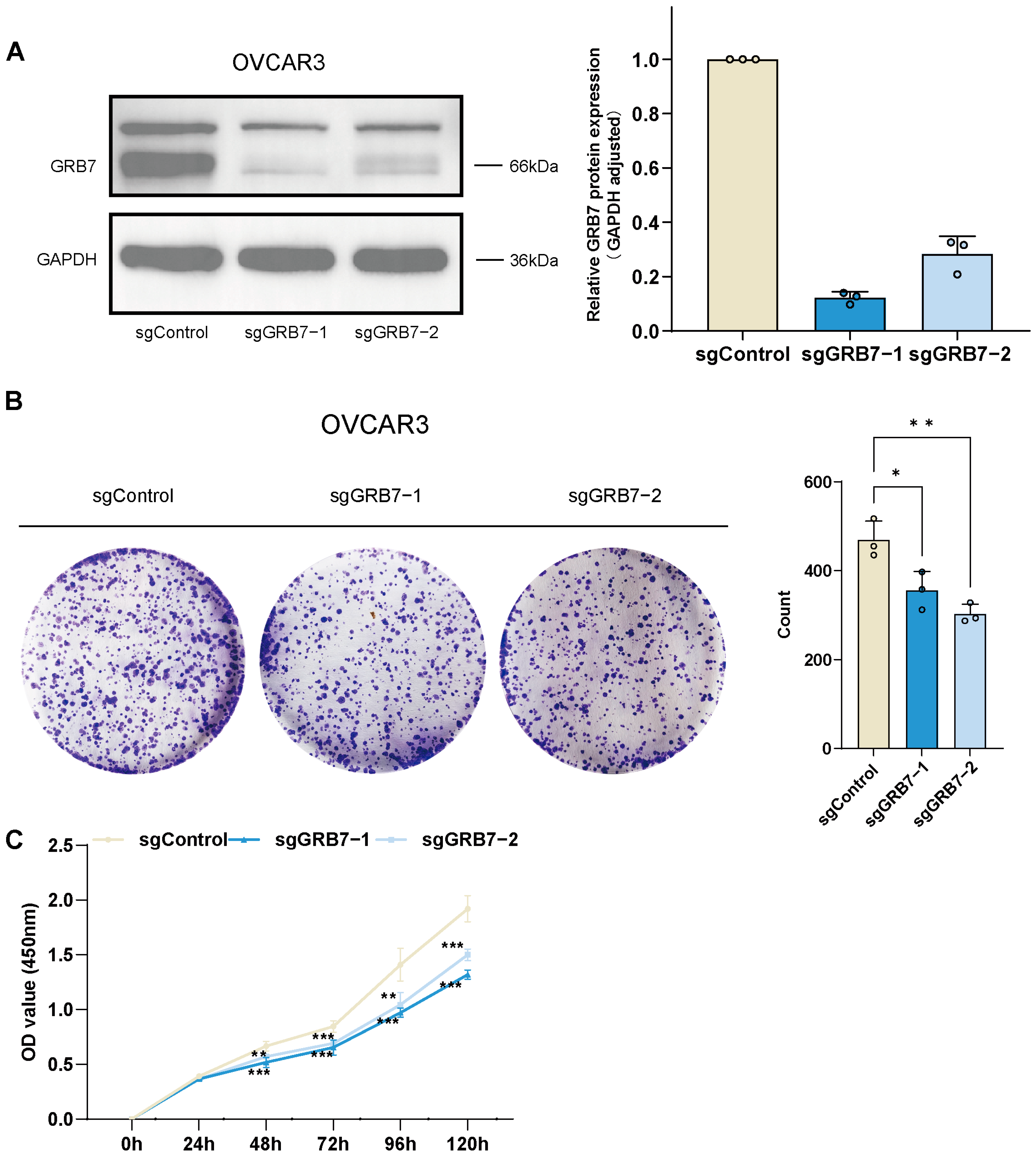 Pharmaceuticals 17 01043 g006