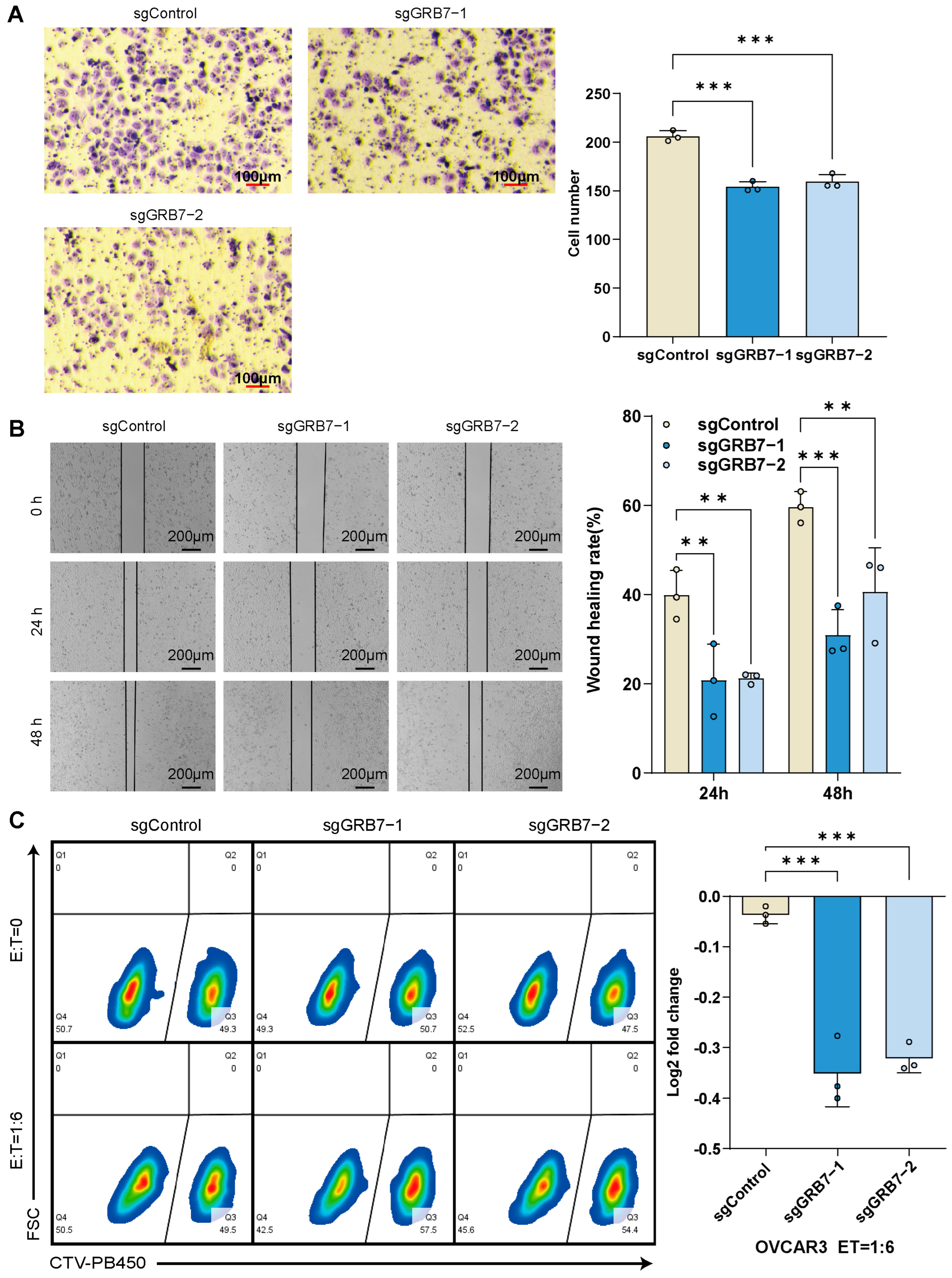 Pharmaceuticals 17 01043 g007