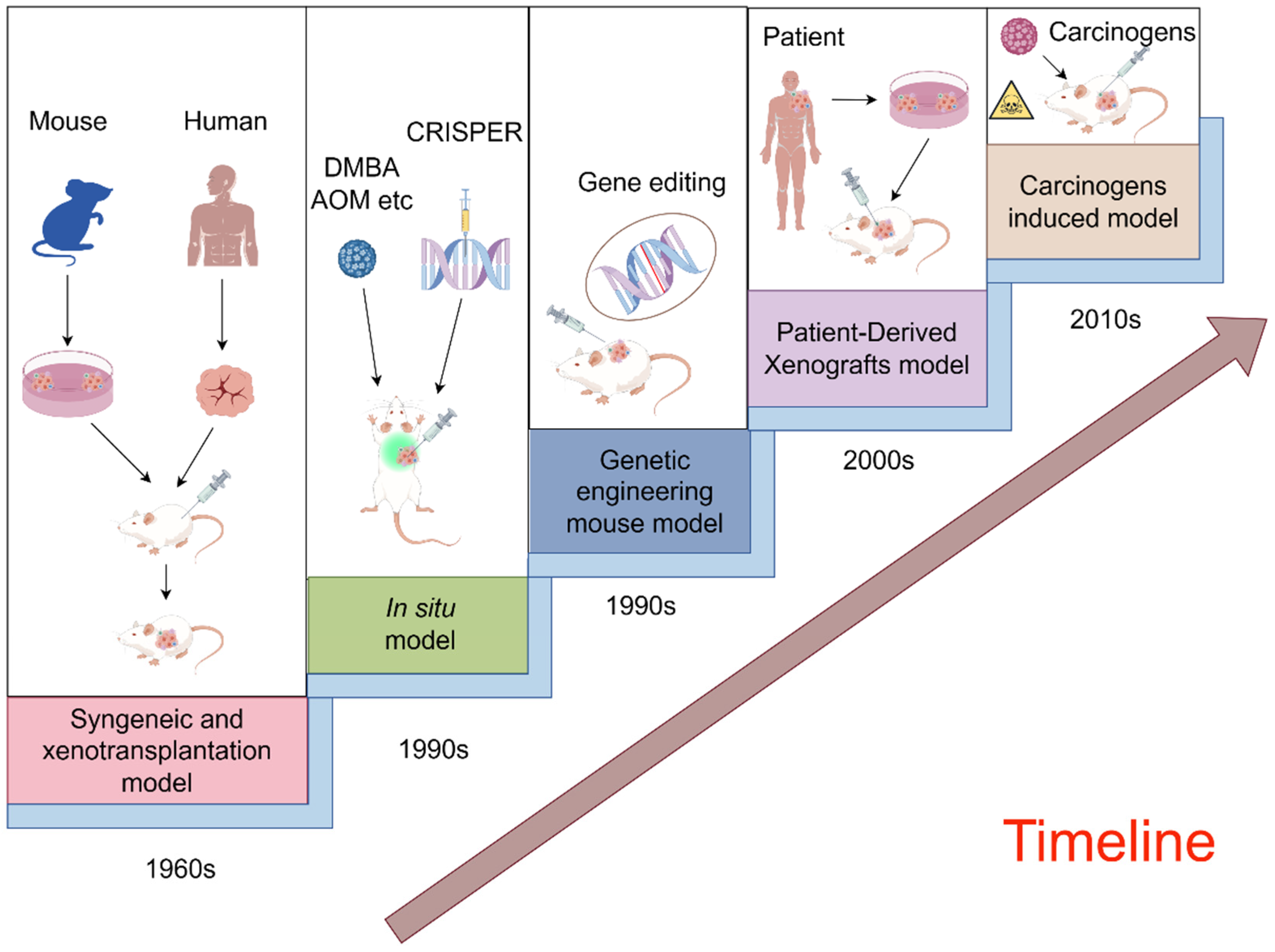 Pharmaceuticals 17 01048 g002 Pharmaceuticals 17 01048 g002