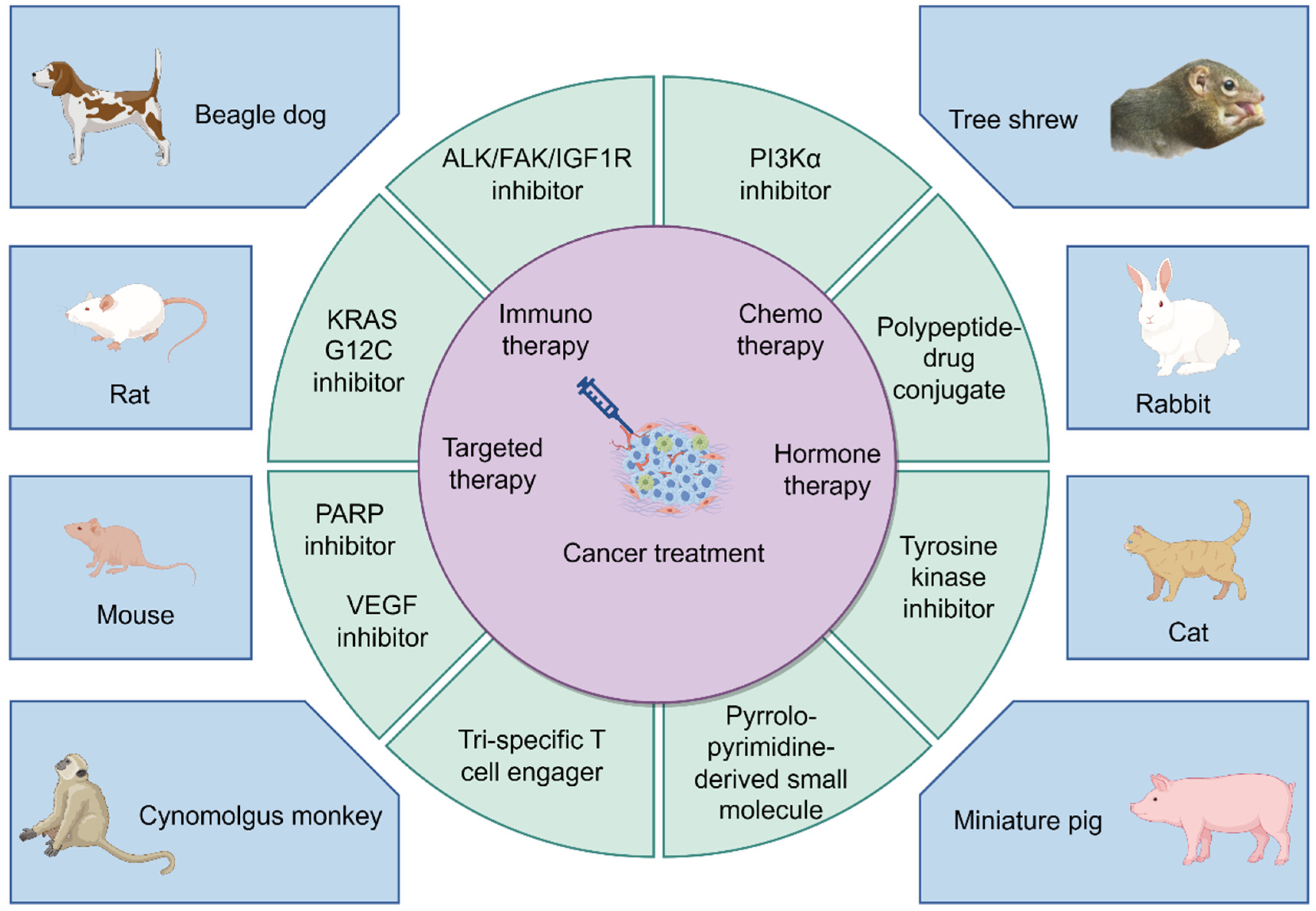 Pharmaceuticals 17 01048 g003 Pharmaceuticals 17 01048 g003