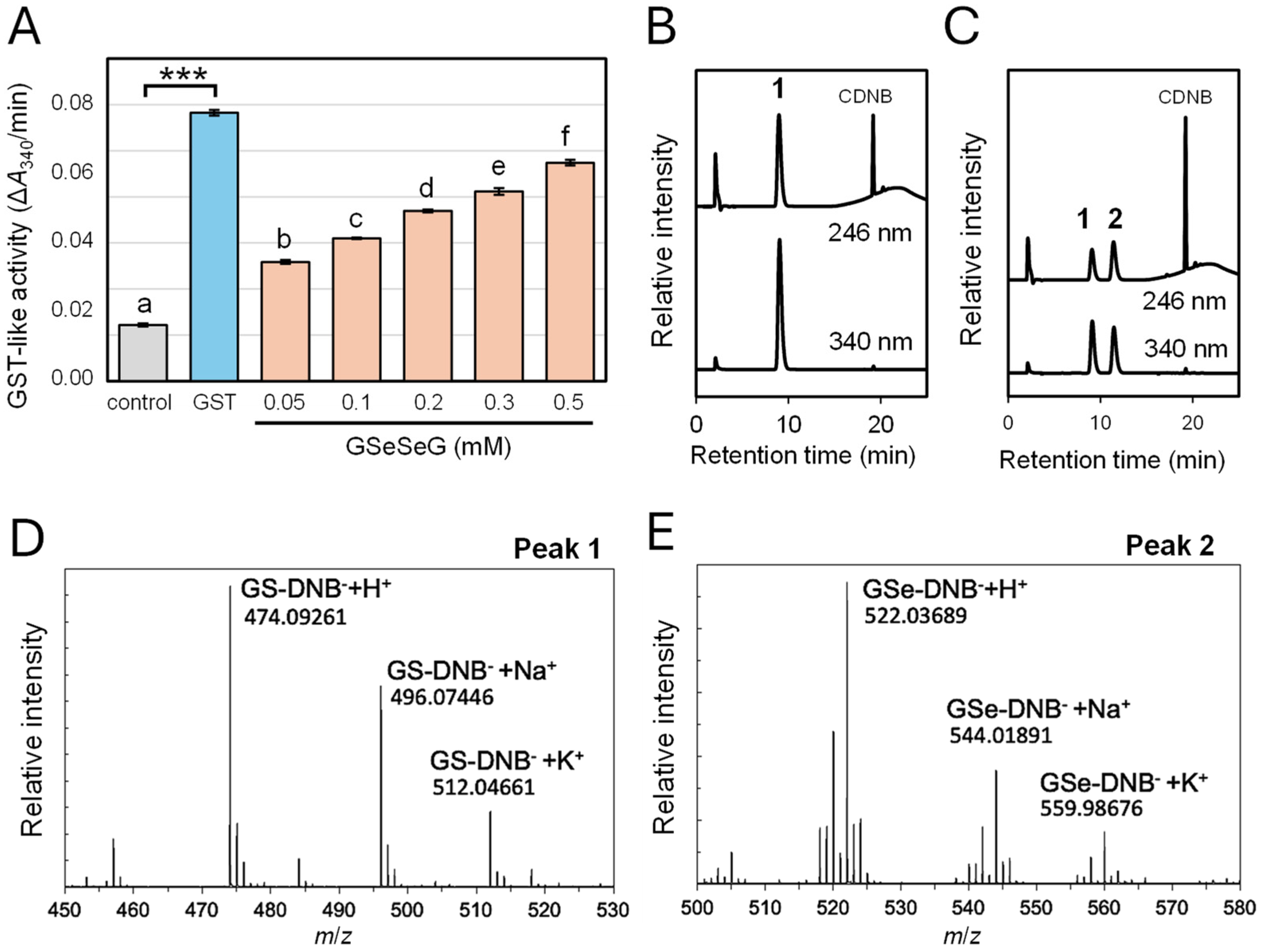 Pharmaceuticals 17 01049 g003 Pharmaceuticals 17 01049 g003