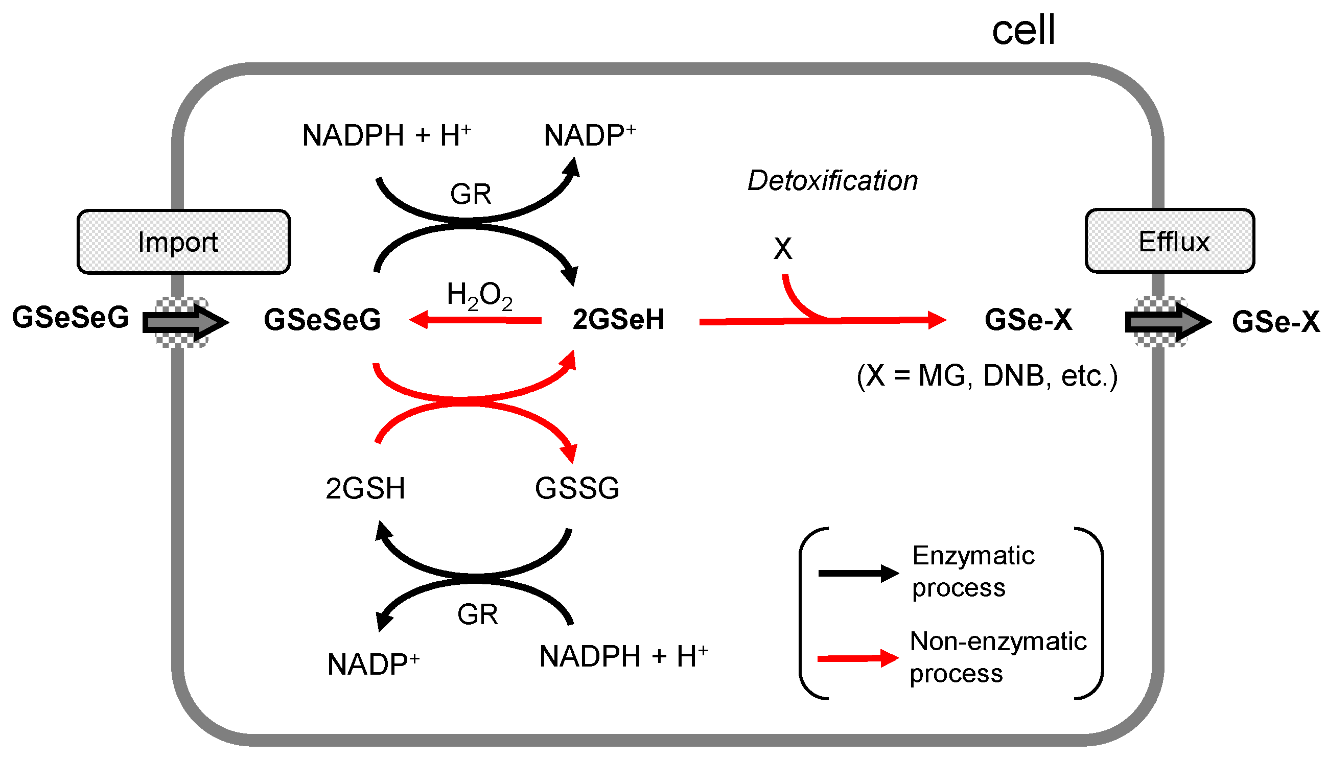 Pharmaceuticals 17 01049 g006 Pharmaceuticals 17 01049 g006