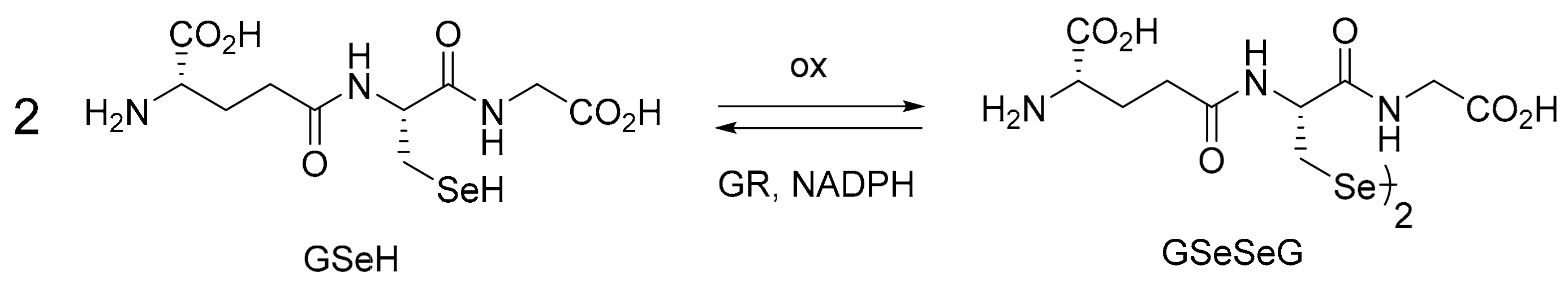 Pharmaceuticals 17 01049 sch001 Pharmaceuticals 17 01049 sch001
