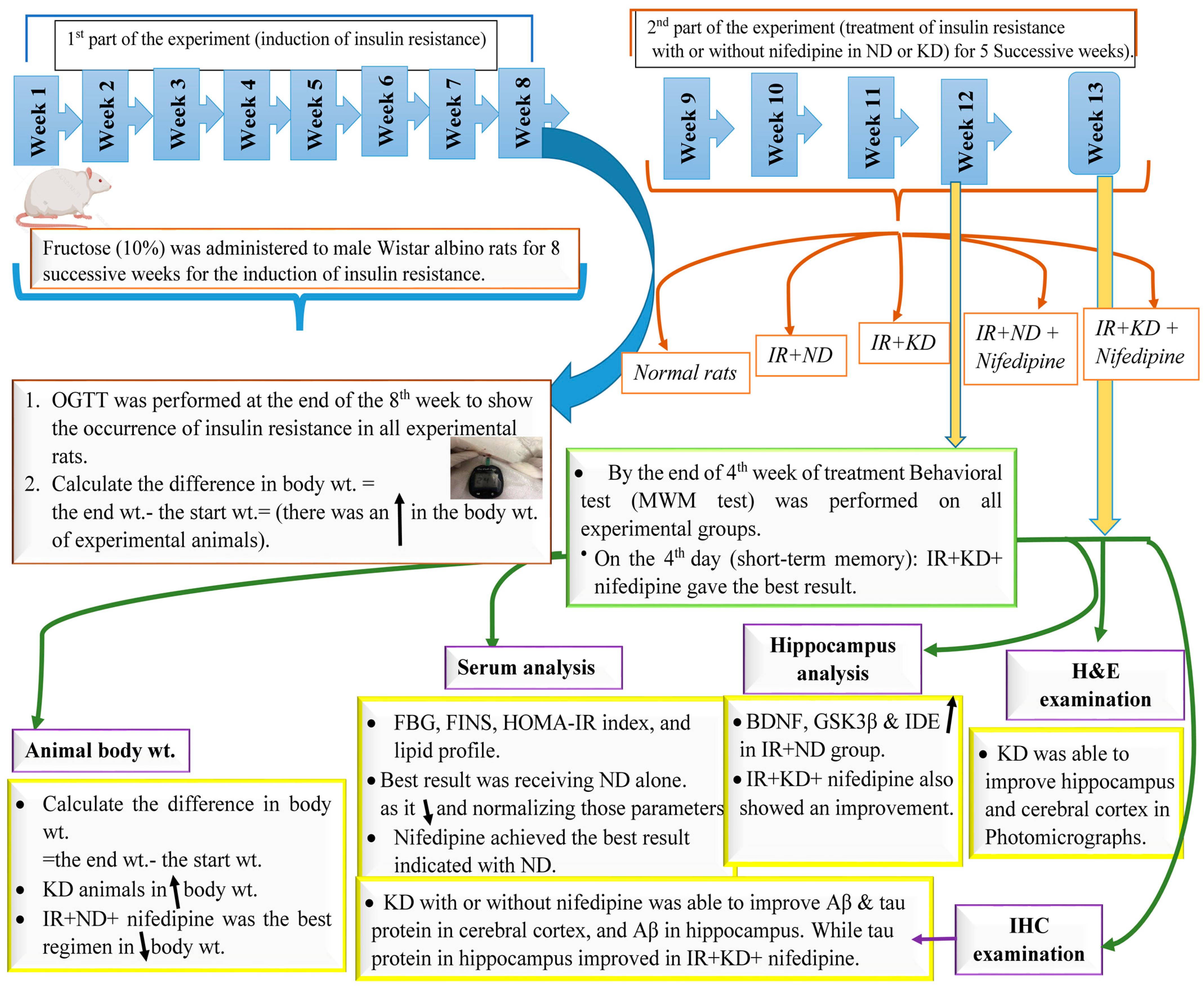 Pharmaceuticals 17 01054 g009