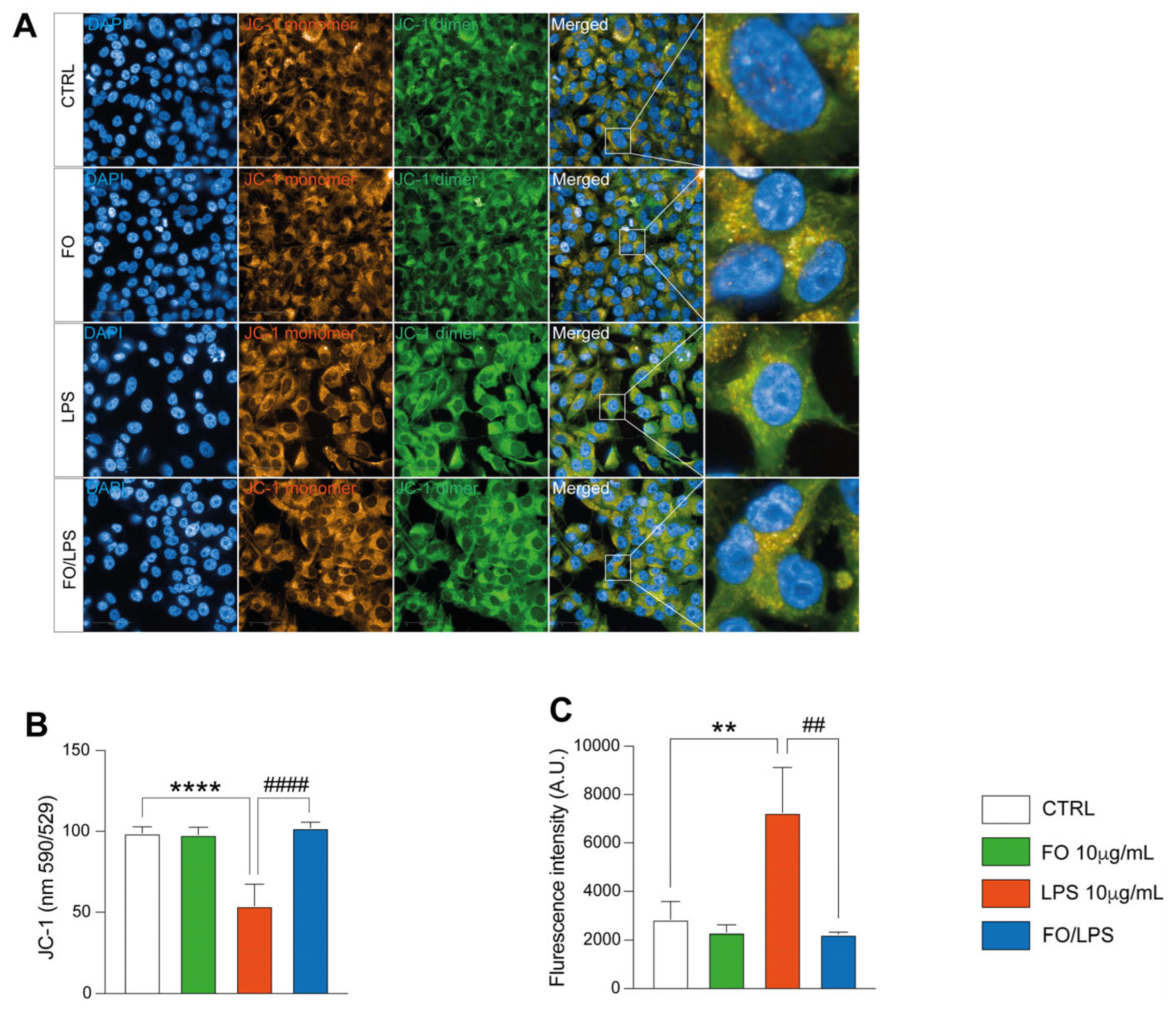 Pharmaceuticals 17 01066 g003