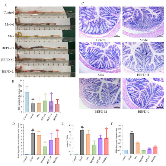 Effects of the N-Butanol Extract of Pulsatilla Decoction on