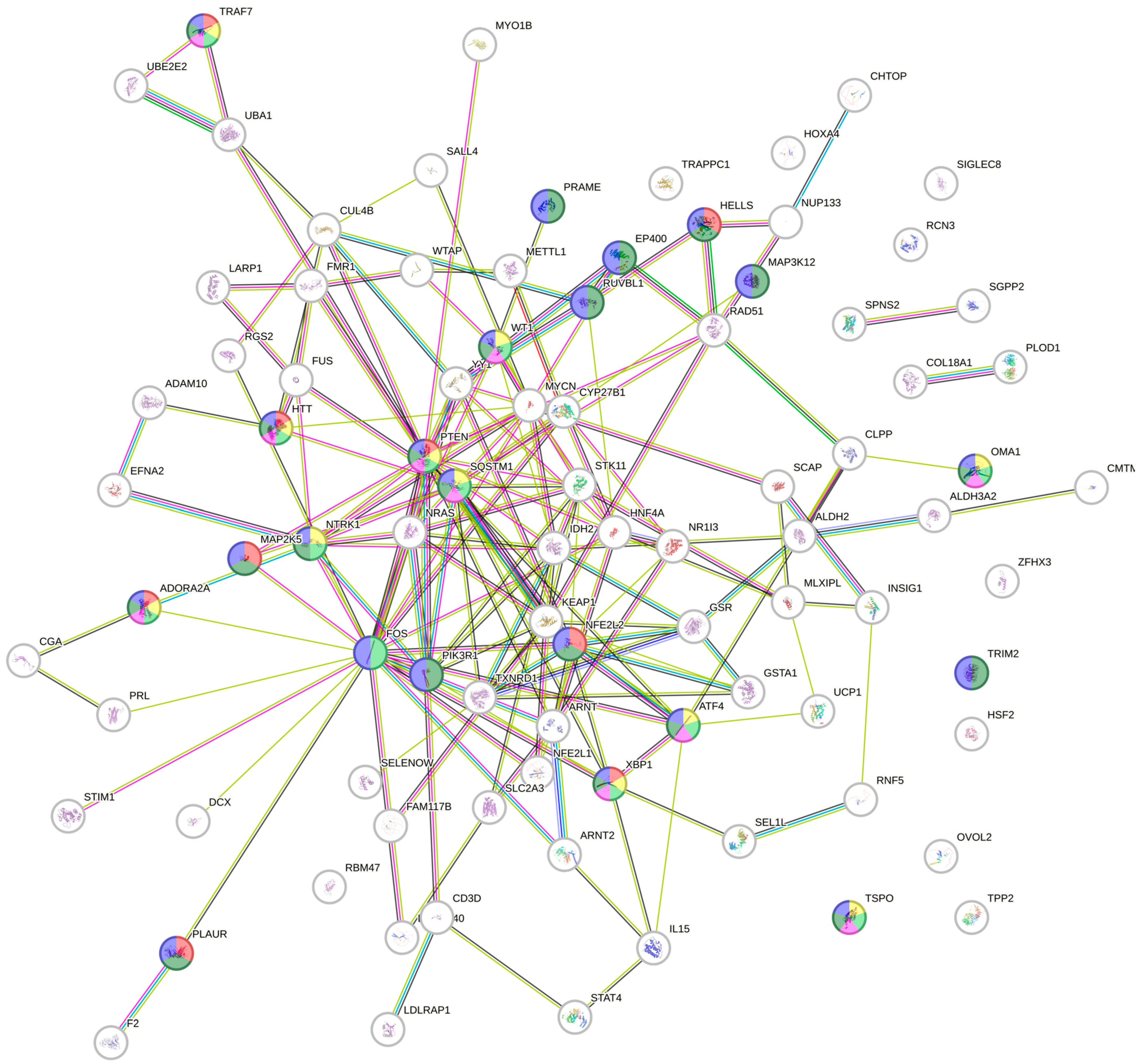 Pharmaceuticals 17 01079 g004