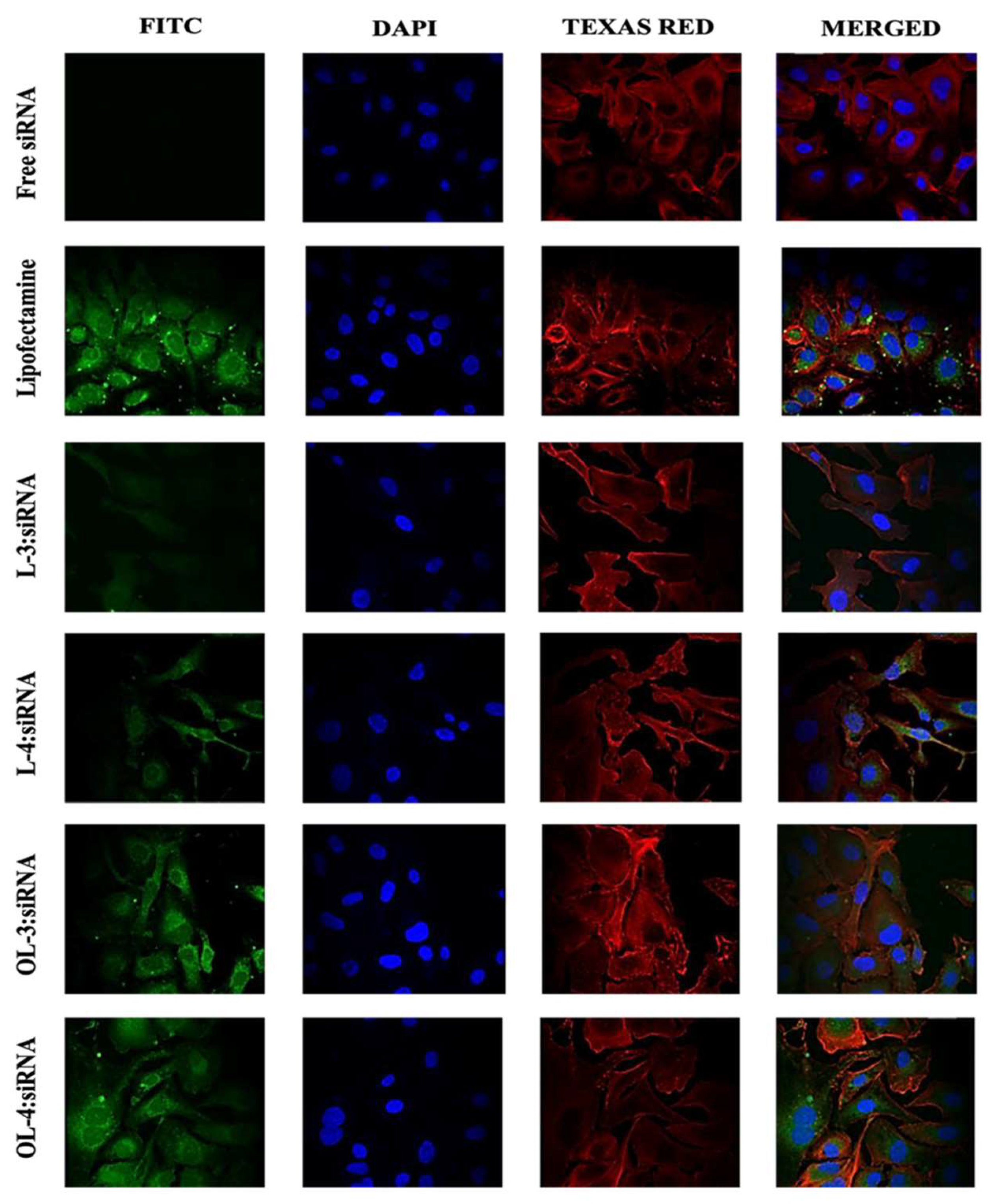 Pharmaceuticals 17 01083 g011