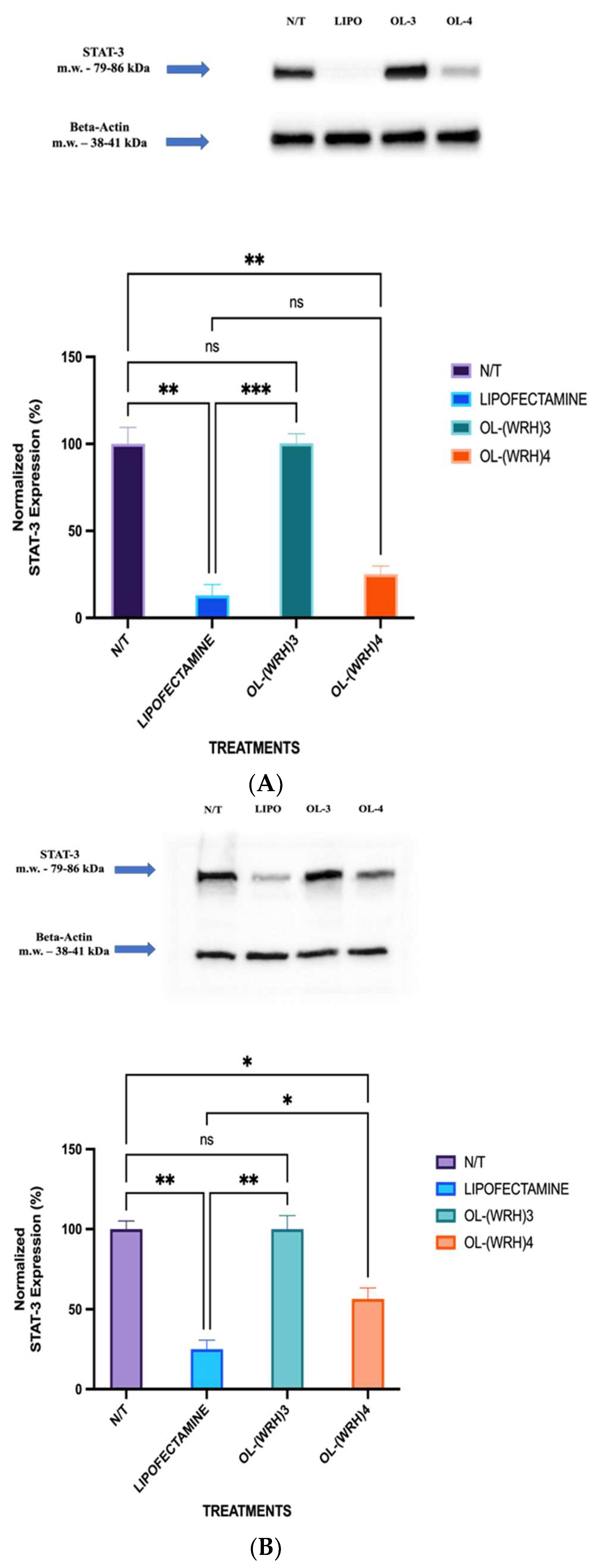 Pharmaceuticals 17 01083 g012
