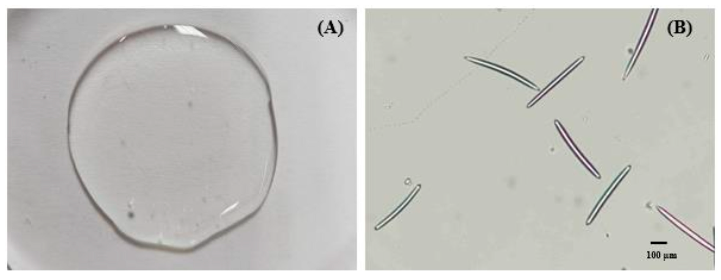 Pharmaceuticals 17 01084 g004